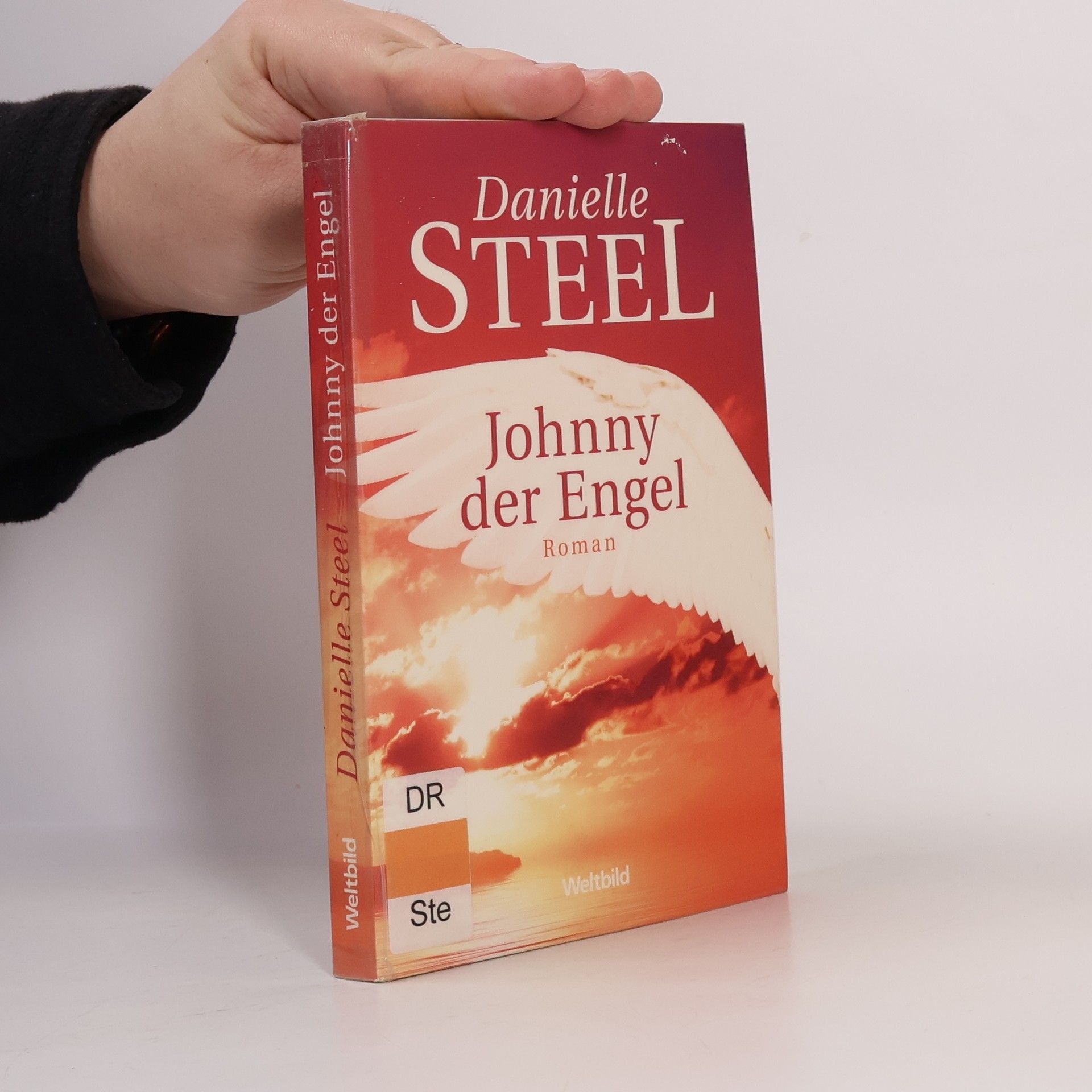 Danielle Steel Johnny der Engel