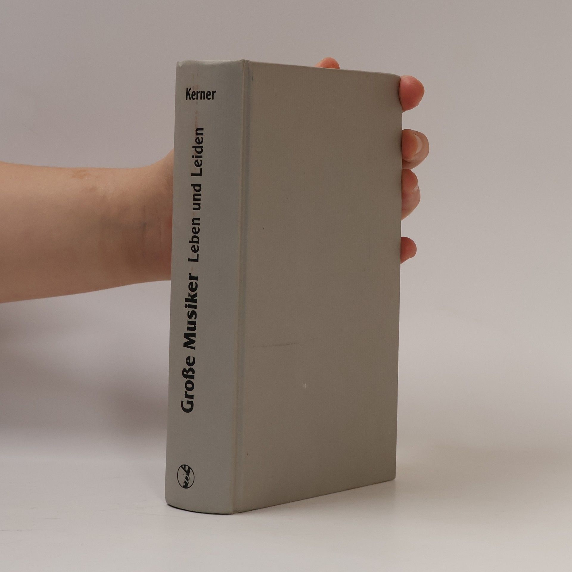 Dieter Kerner Grosse Musiker. Leben und Leiden