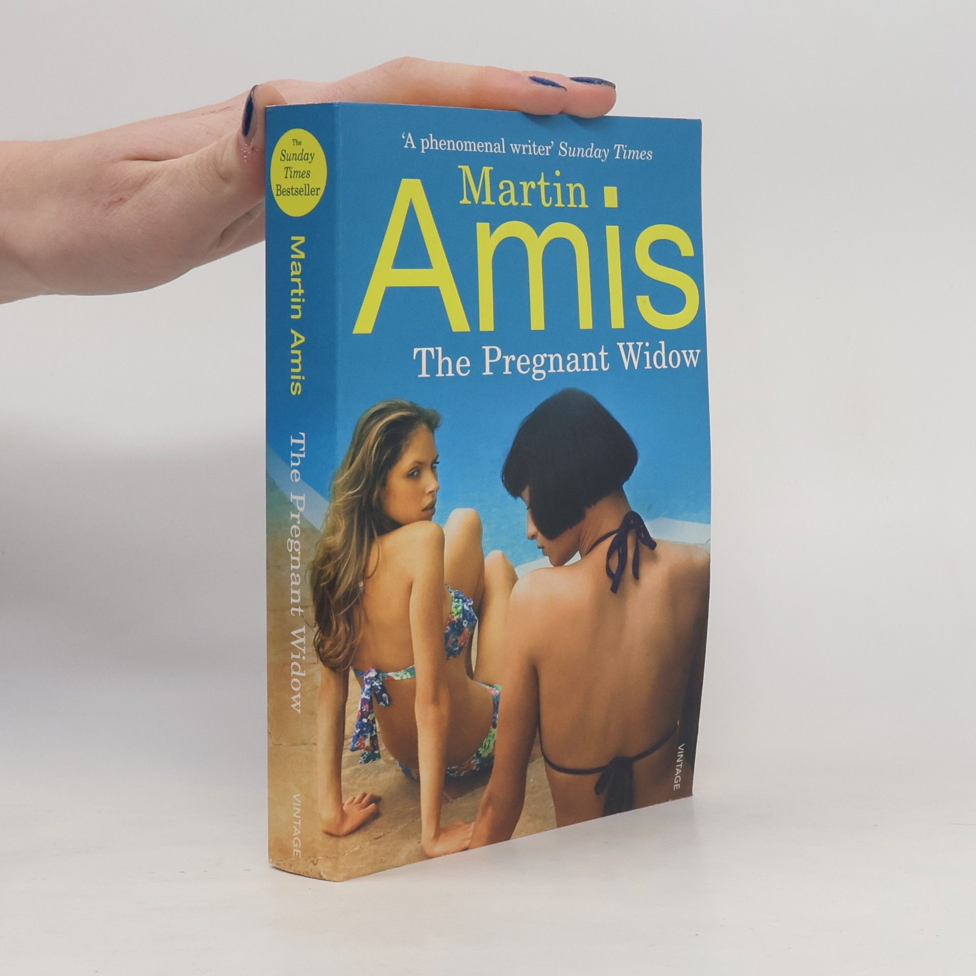Martin Amis The Pregnant Widow