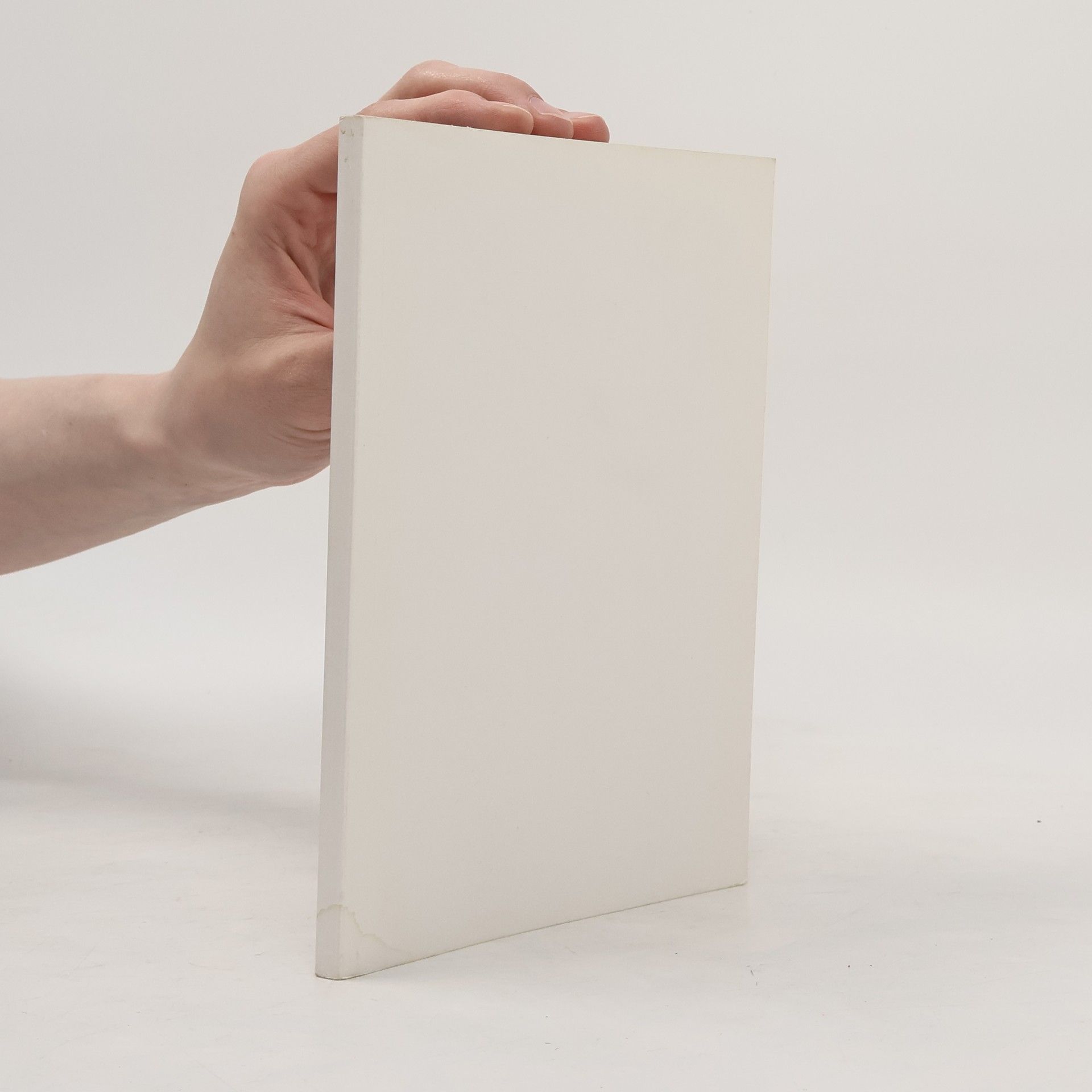 Táňa Fischerová Lydiiny dveře