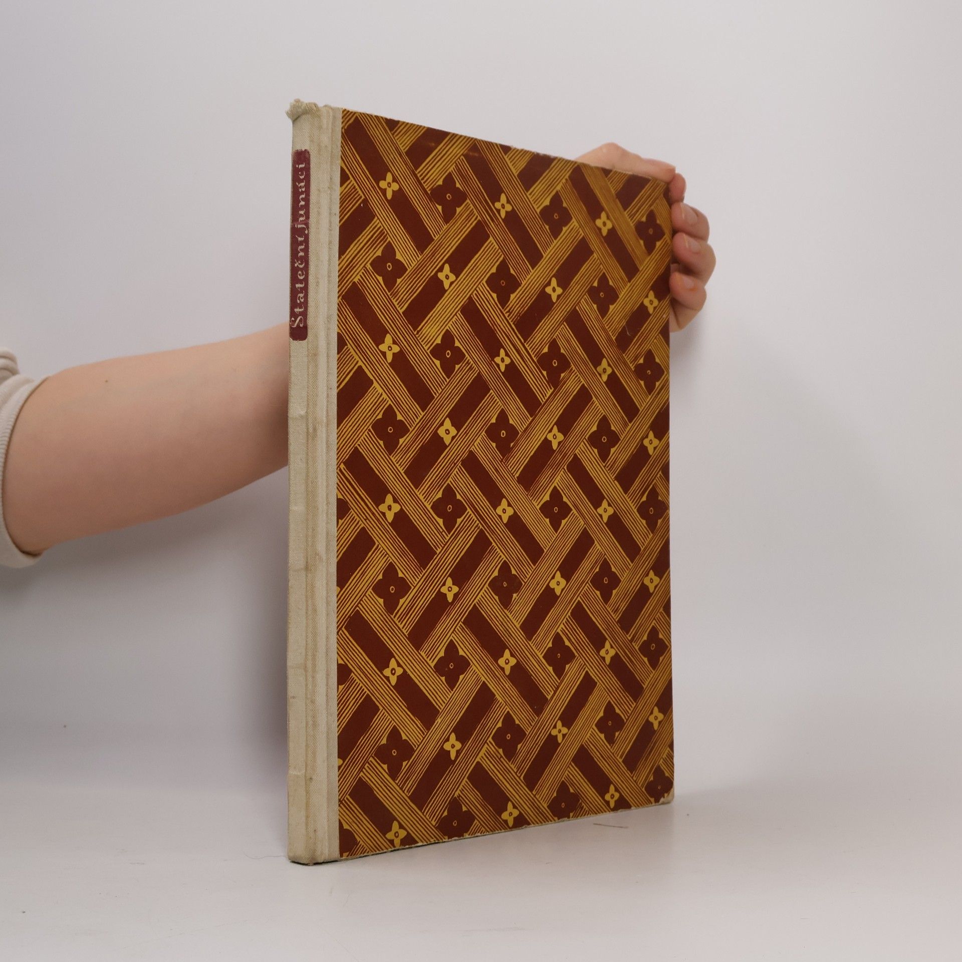 Natal'ja Pavlovna Kolpakova Stateční junáci. Pohádky národů Sovětského svazu