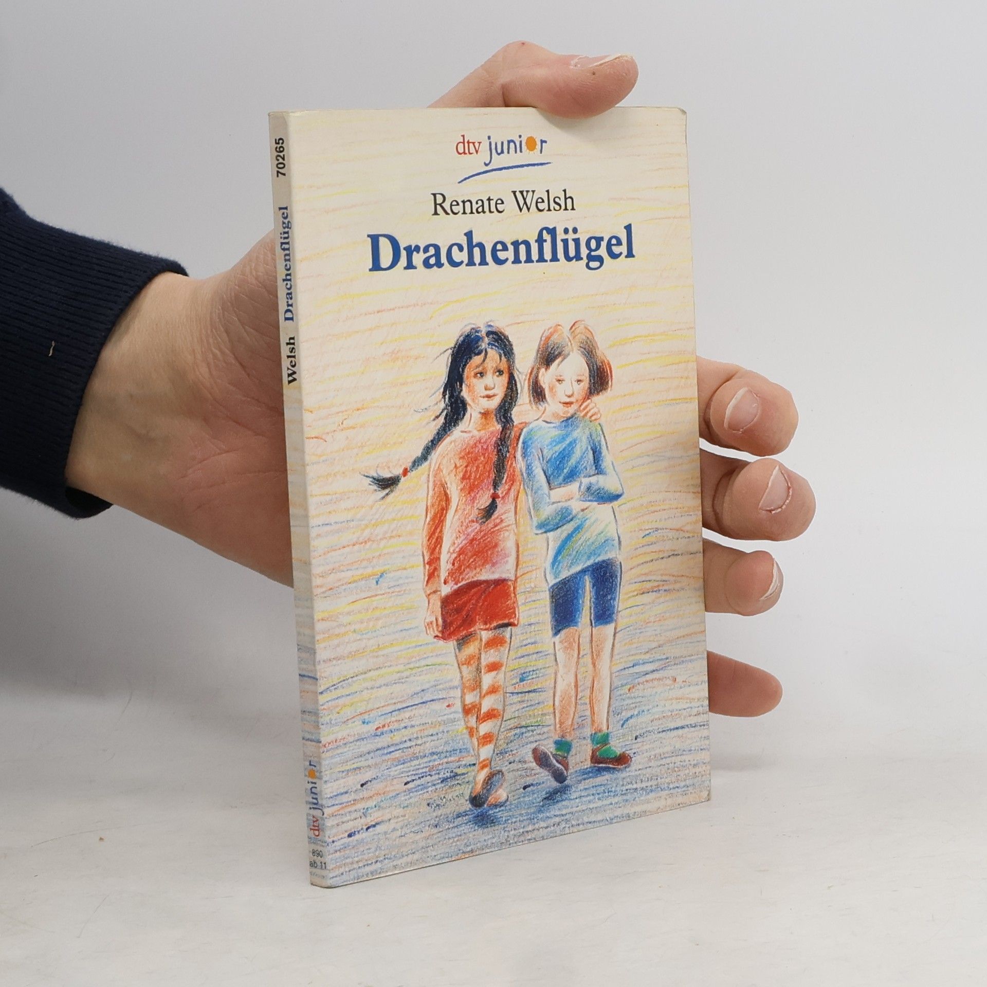 Renate Welsh Drachenflügel