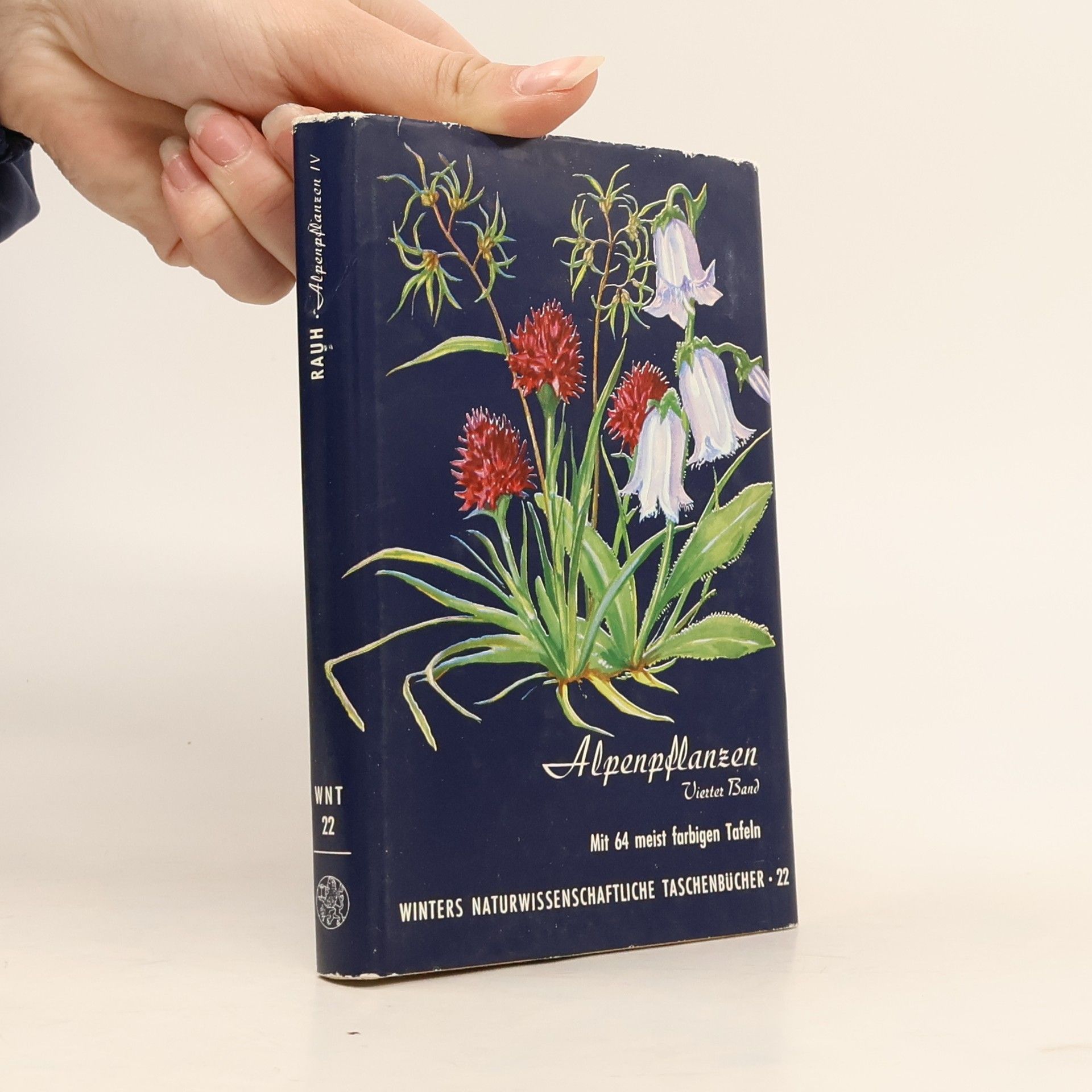 Werner Rauh Alpenpflanzen 4