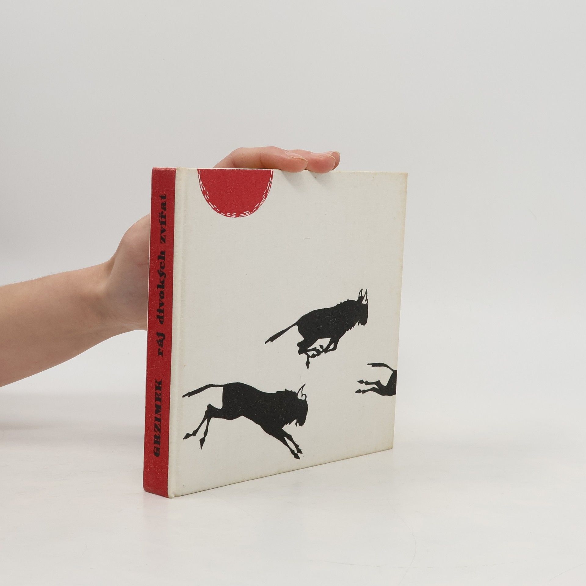 Ráj divokých zvířat