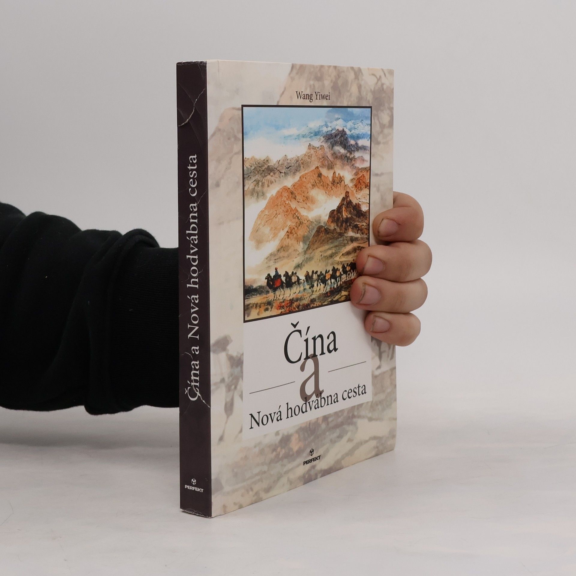 Wang Yiwei Čína a Nová hodvábna cesta