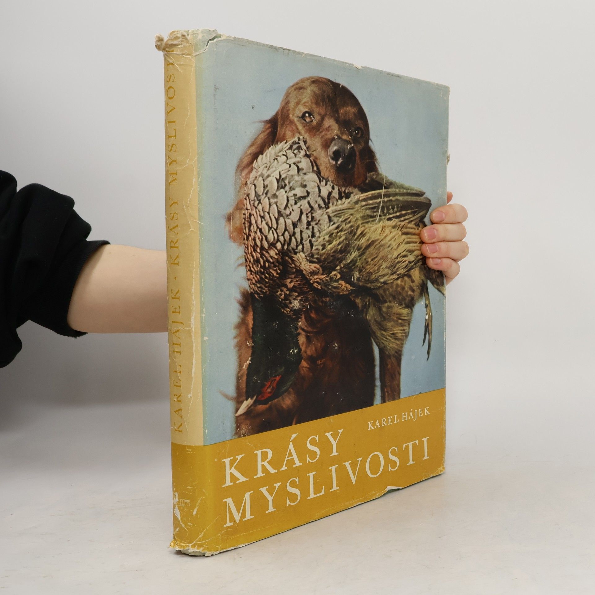 Karel Hájek Krásy myslivosti