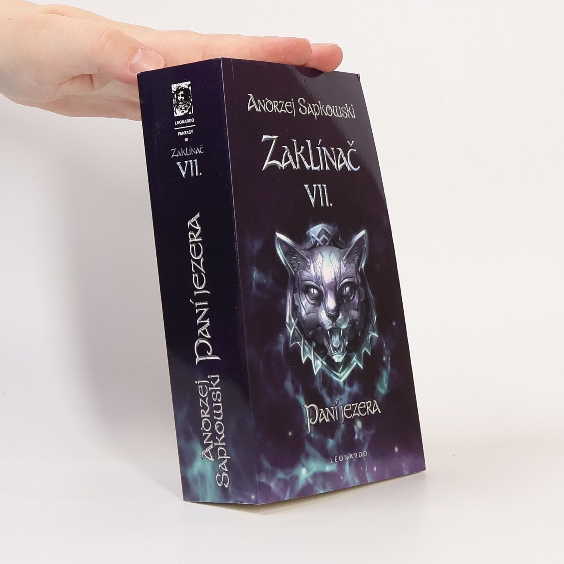 Zaklínač VII. Paní jezera