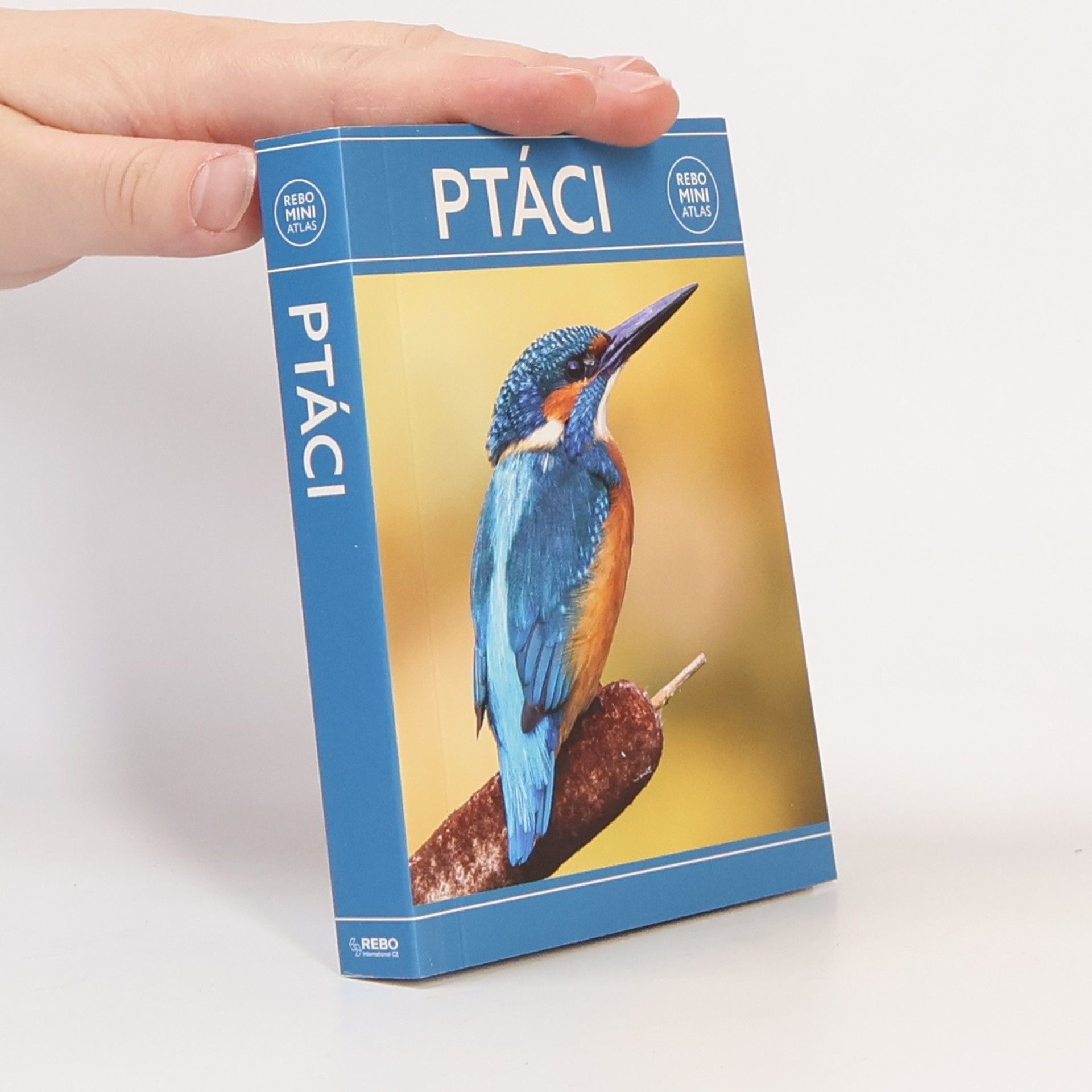 Alena Klvaňová Ptáci