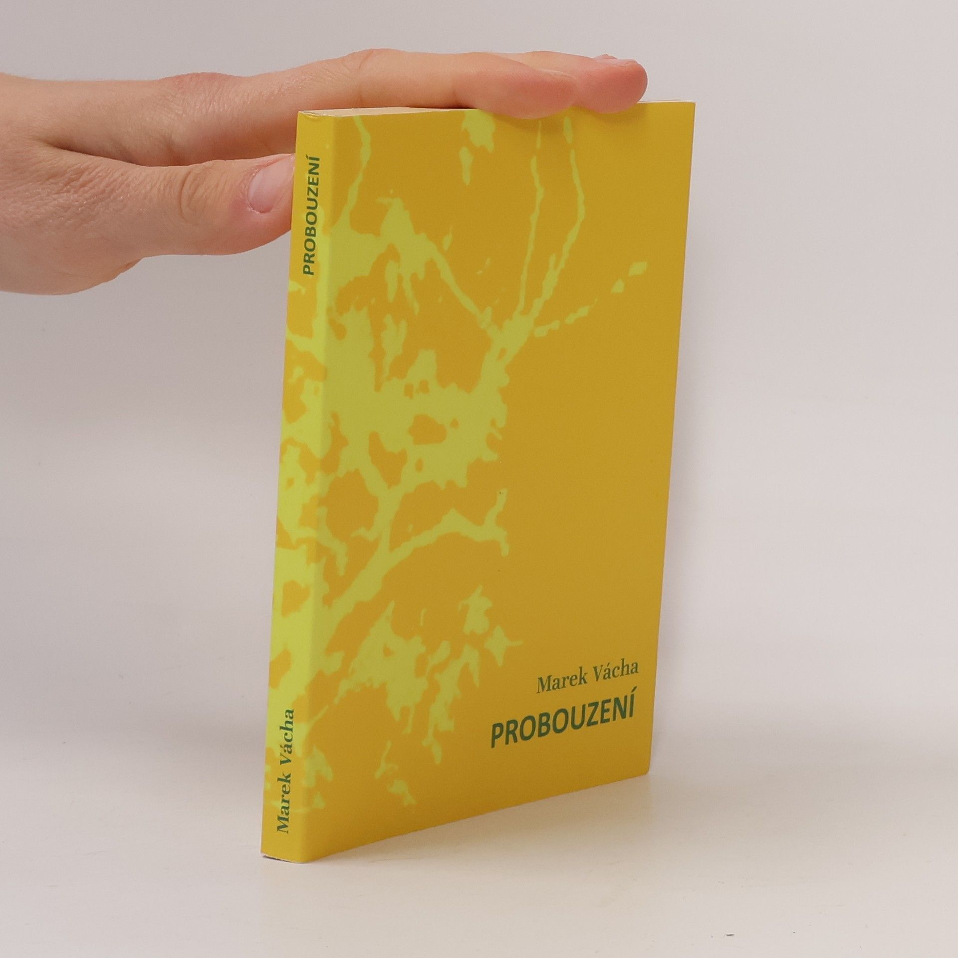 Marek Orko Vácha Probouzení