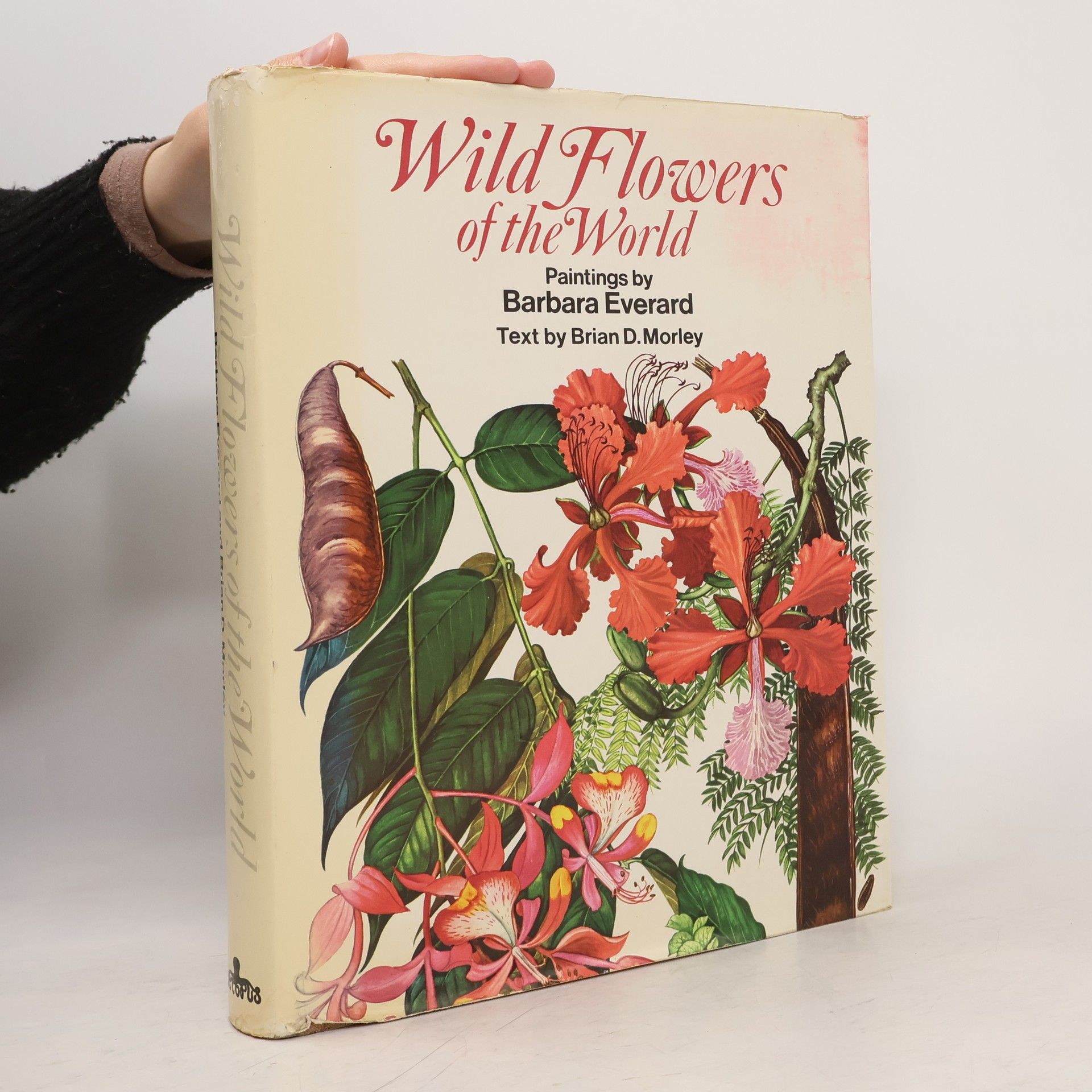 Brian D. Morley Wild Flowers of the World