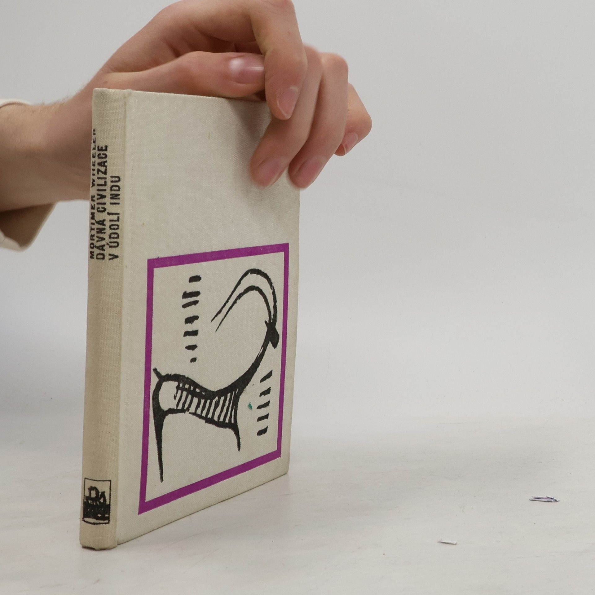 Dávná civilizace v údolí Indu