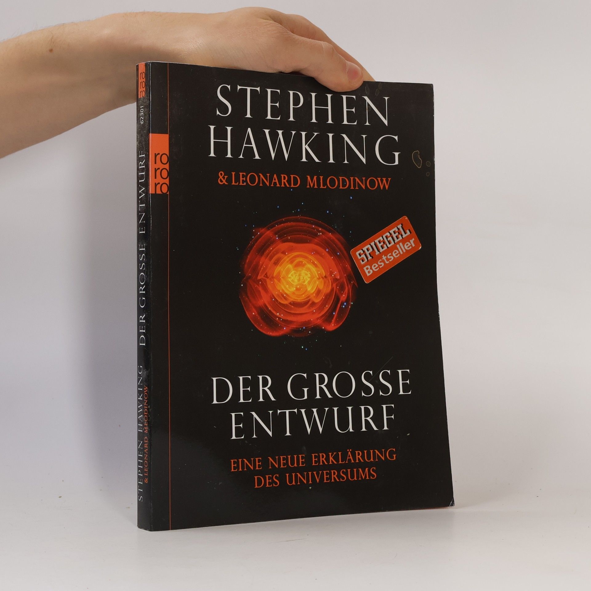 Stephen Hawking Der grosse Entwurf