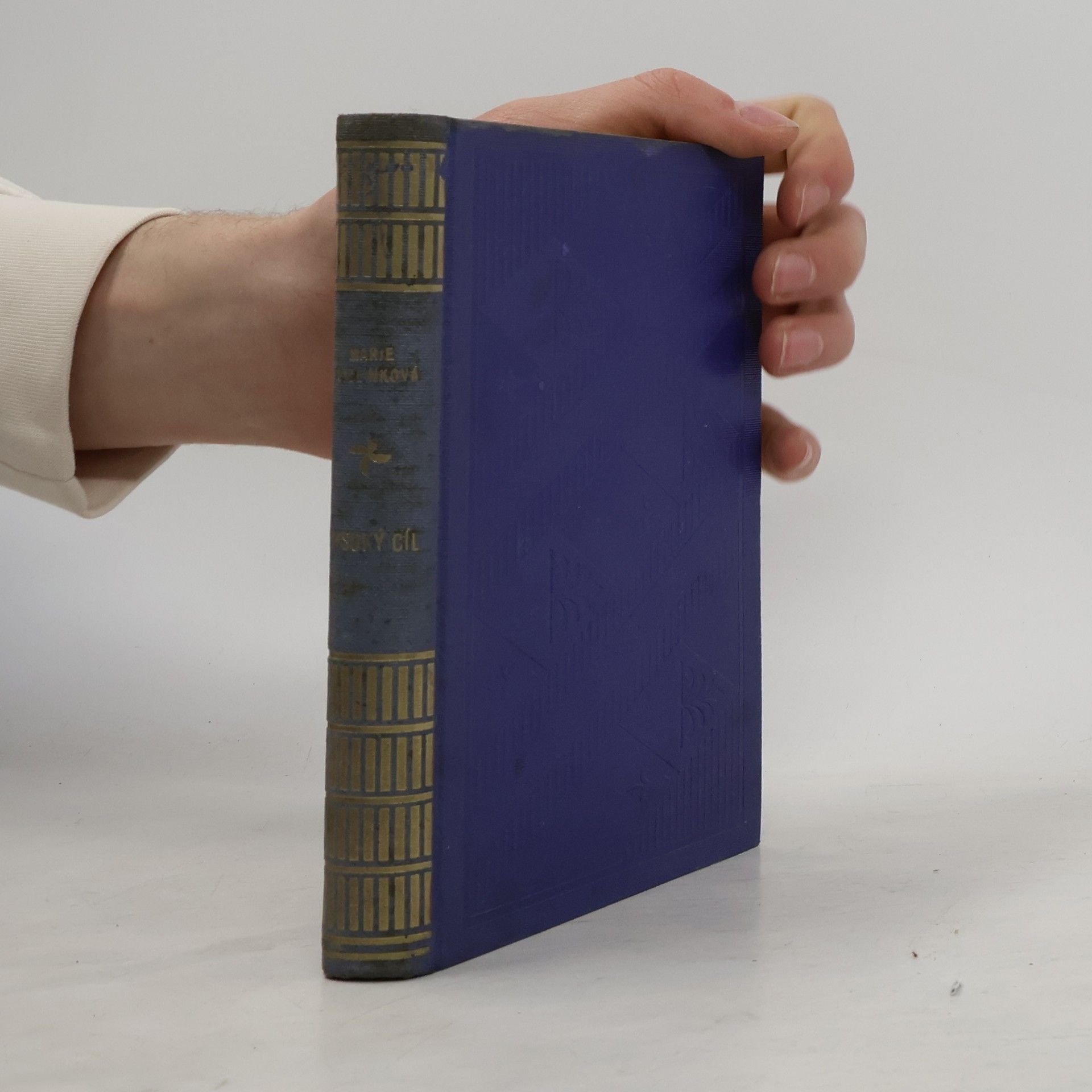 Marie Kyzlinková Vysoký cíl