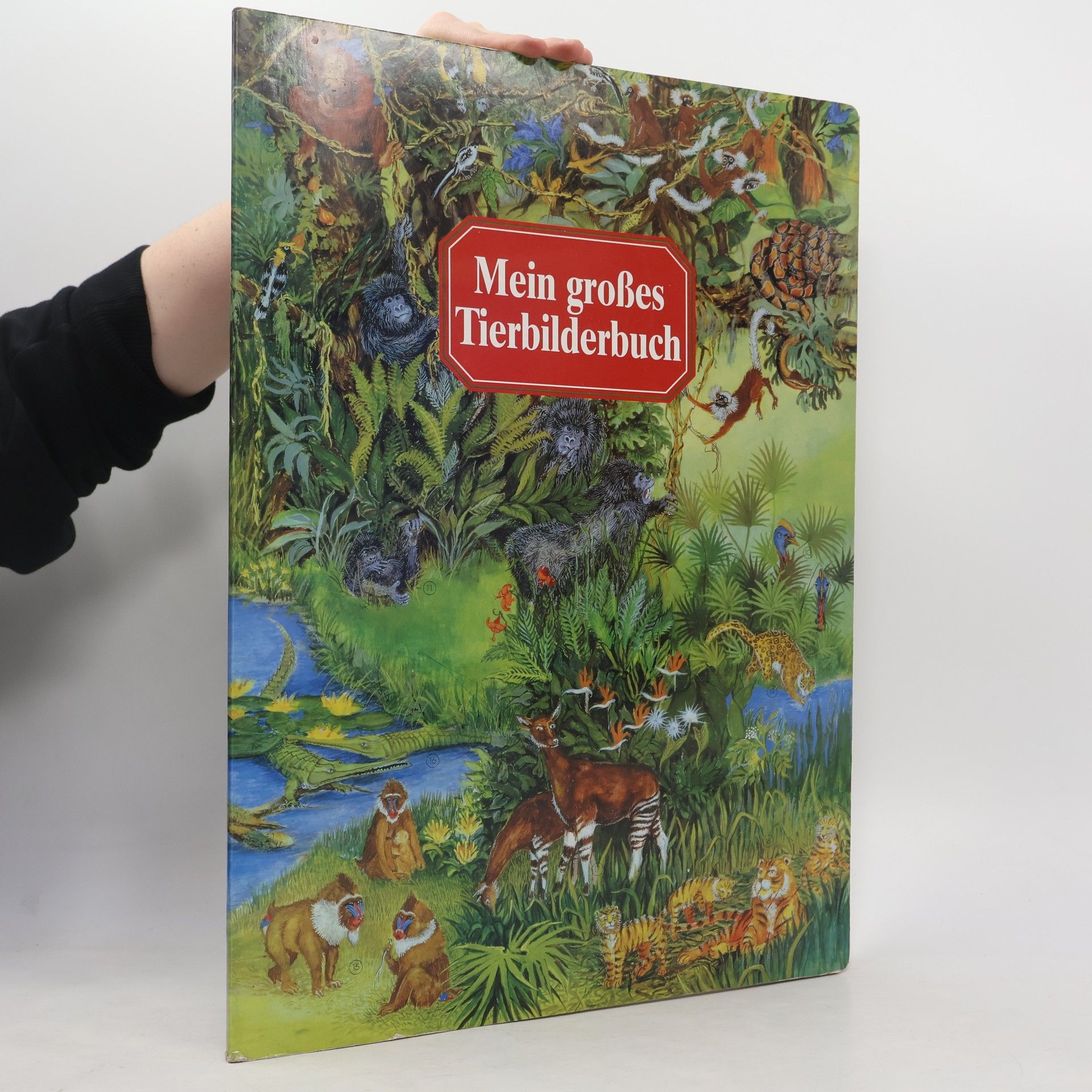 Autorenkollektiv Mein großes Tierbilderbuch