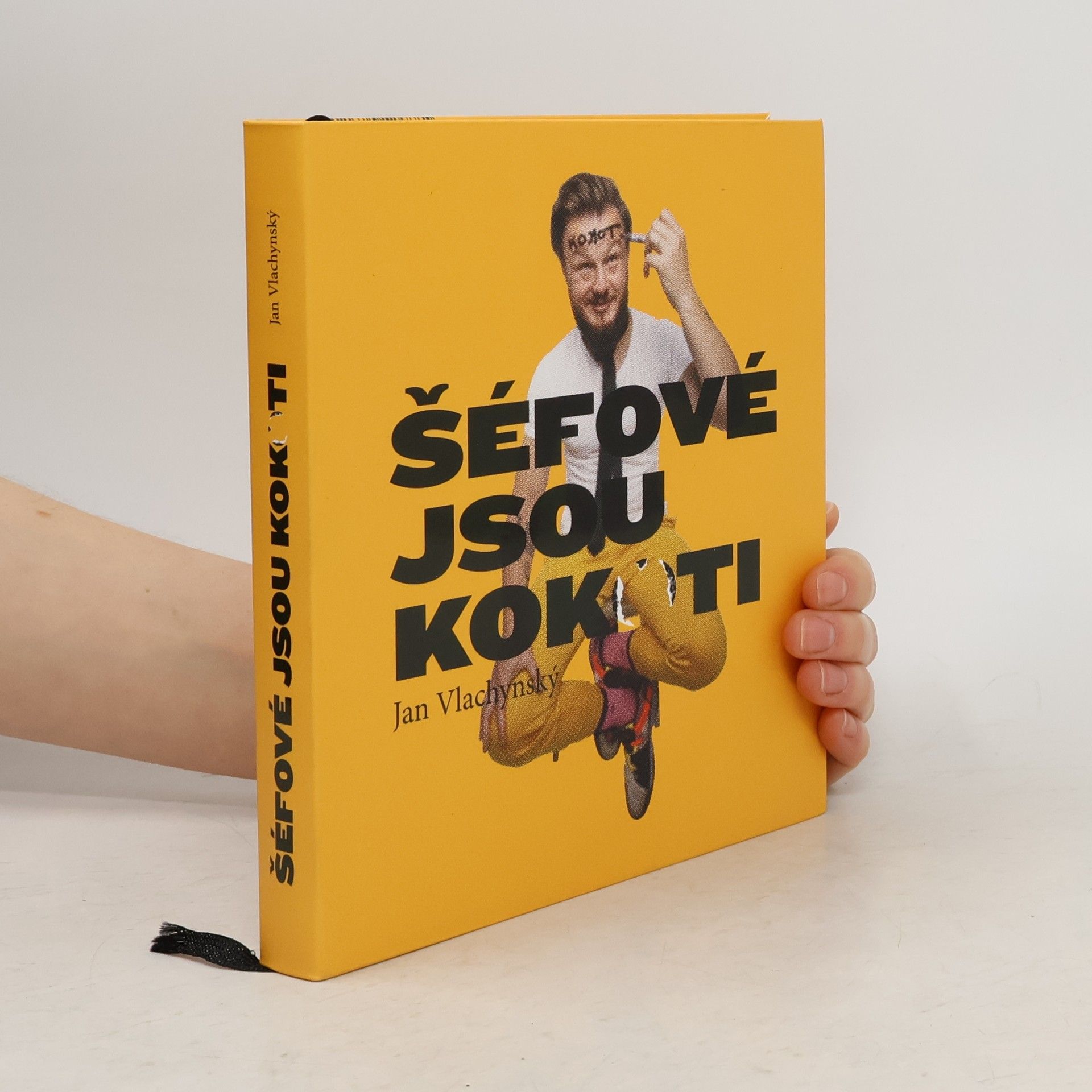 Jan Vlachynský Šéfové jsou kokoti