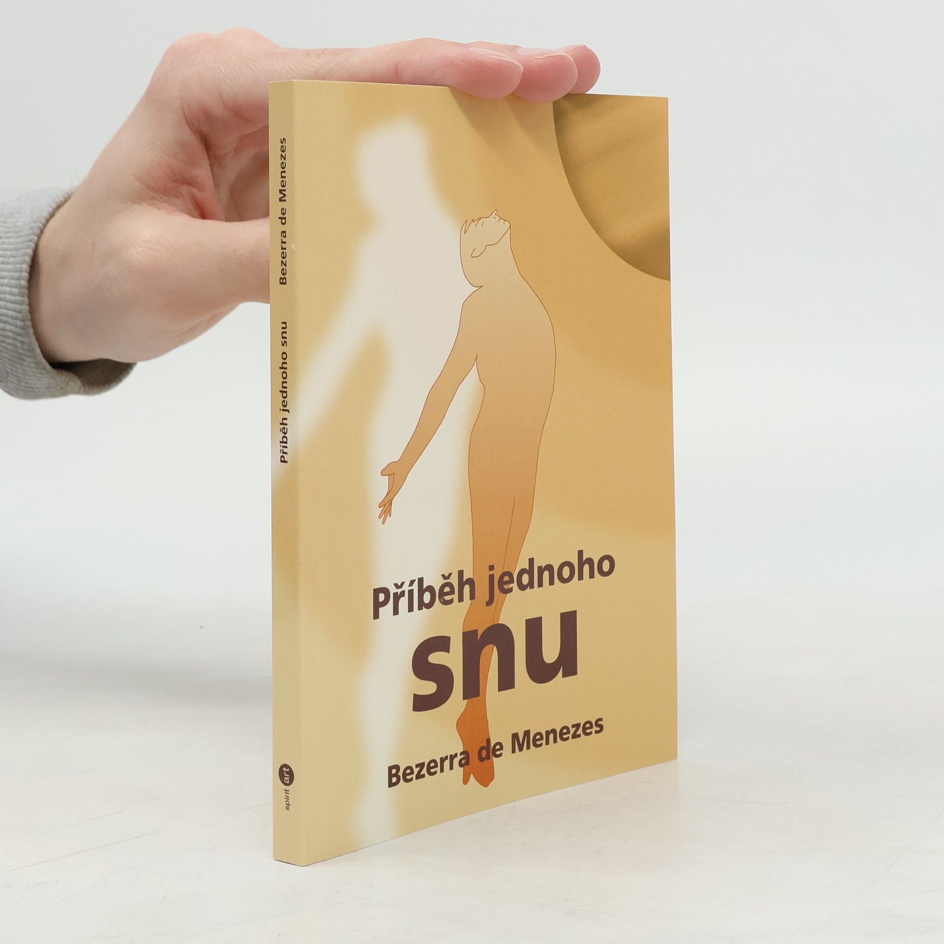 Bezerra de Menezes Příběh jednoho snu