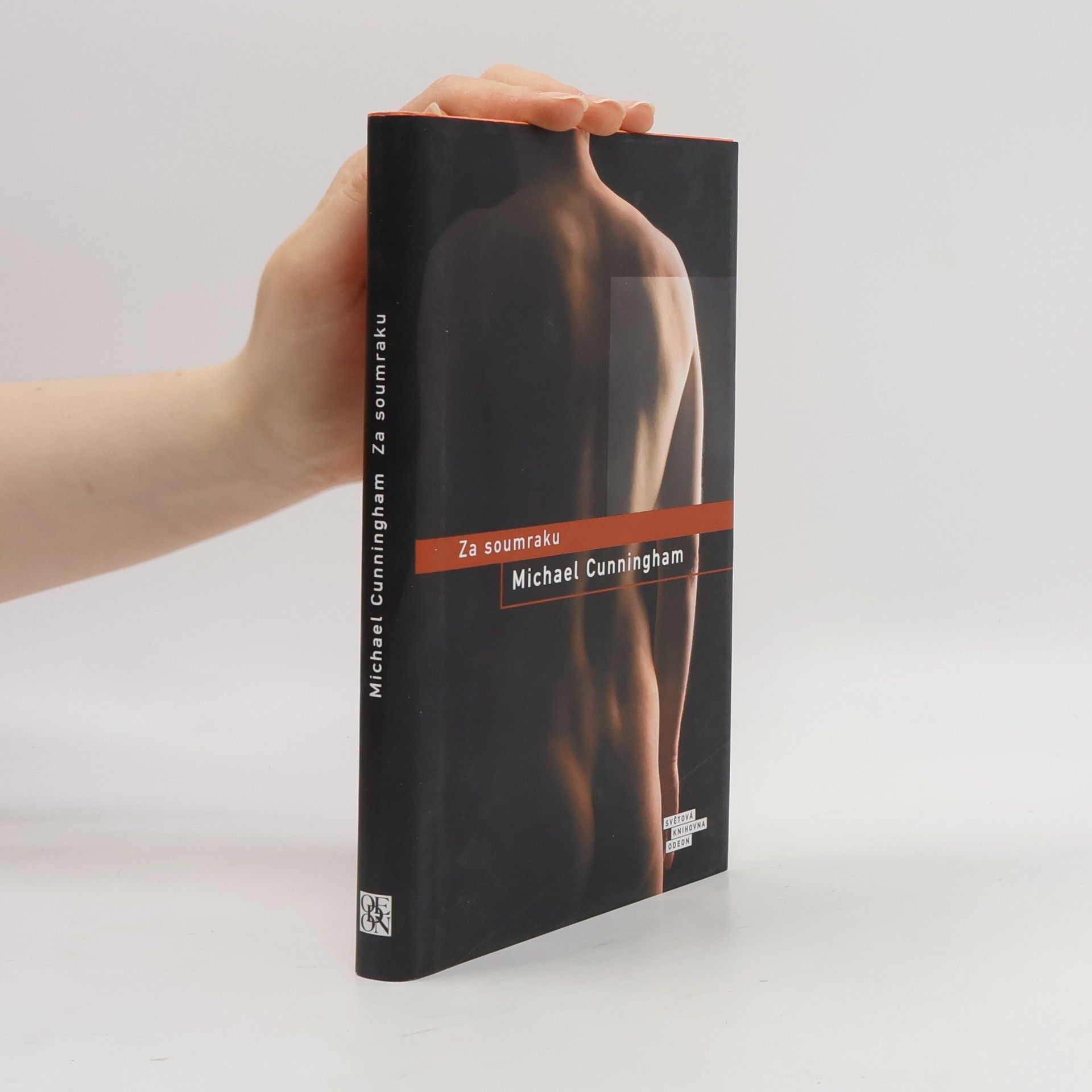 Michael Cunningham Za soumraku