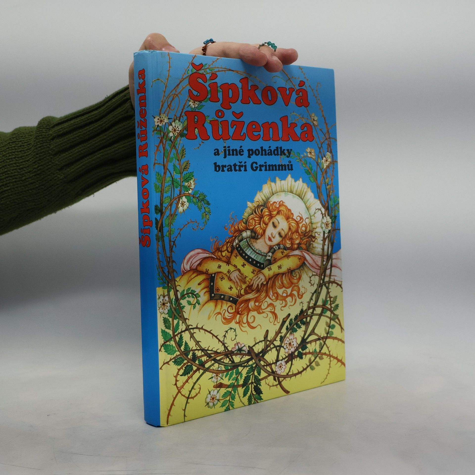 Various authors Šípková Růženka a jiné pohádky bratří Grimmů