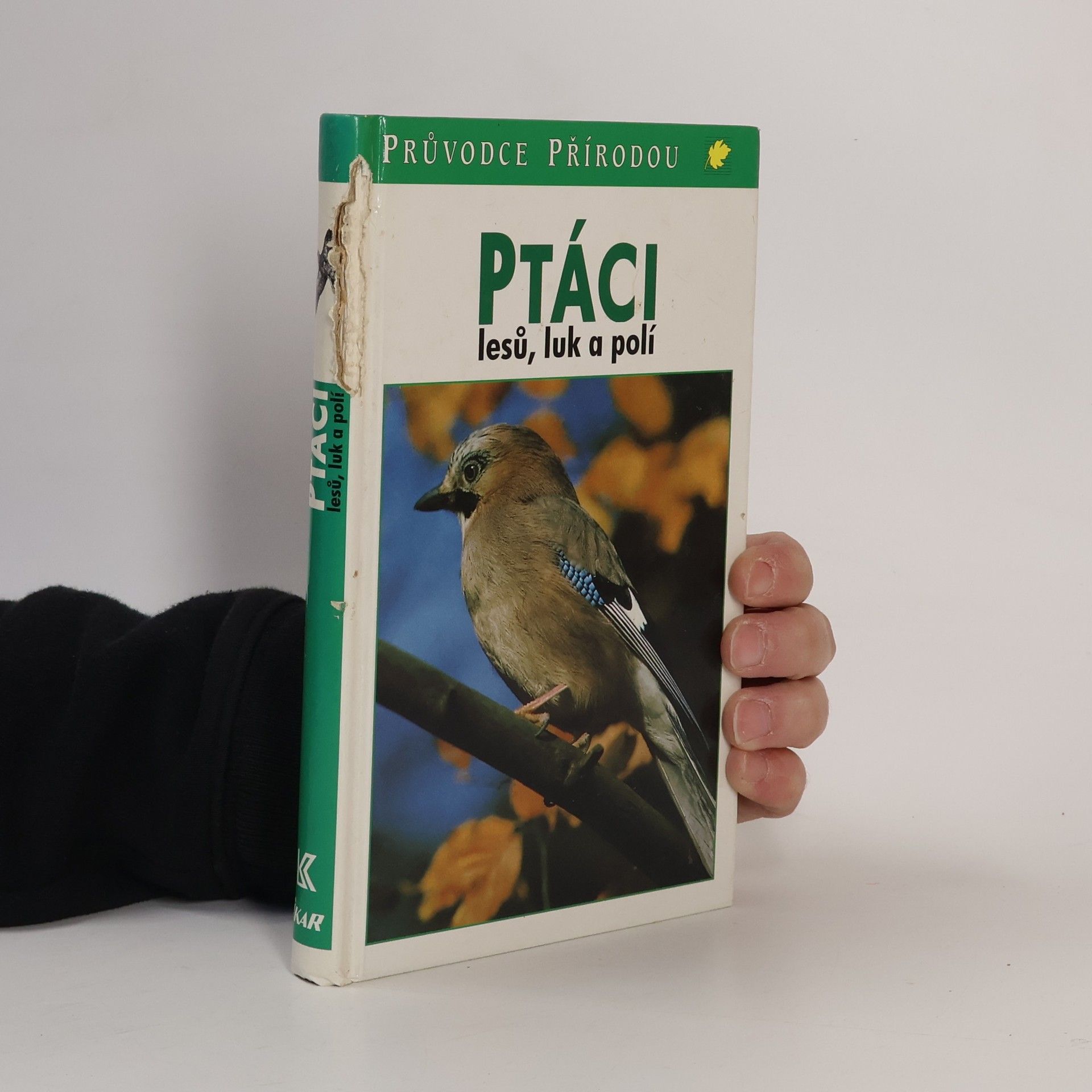 Frieder Sauer Ptáci lesů, luk a polí