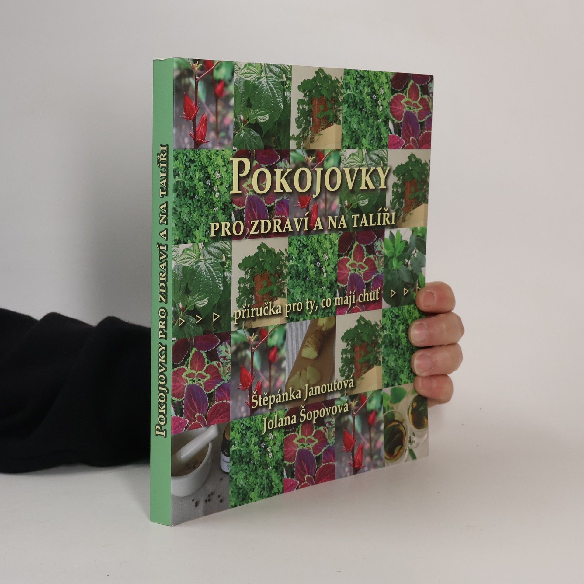 Jolana Křížkovská Pokojovky pro zdraví a na talíři