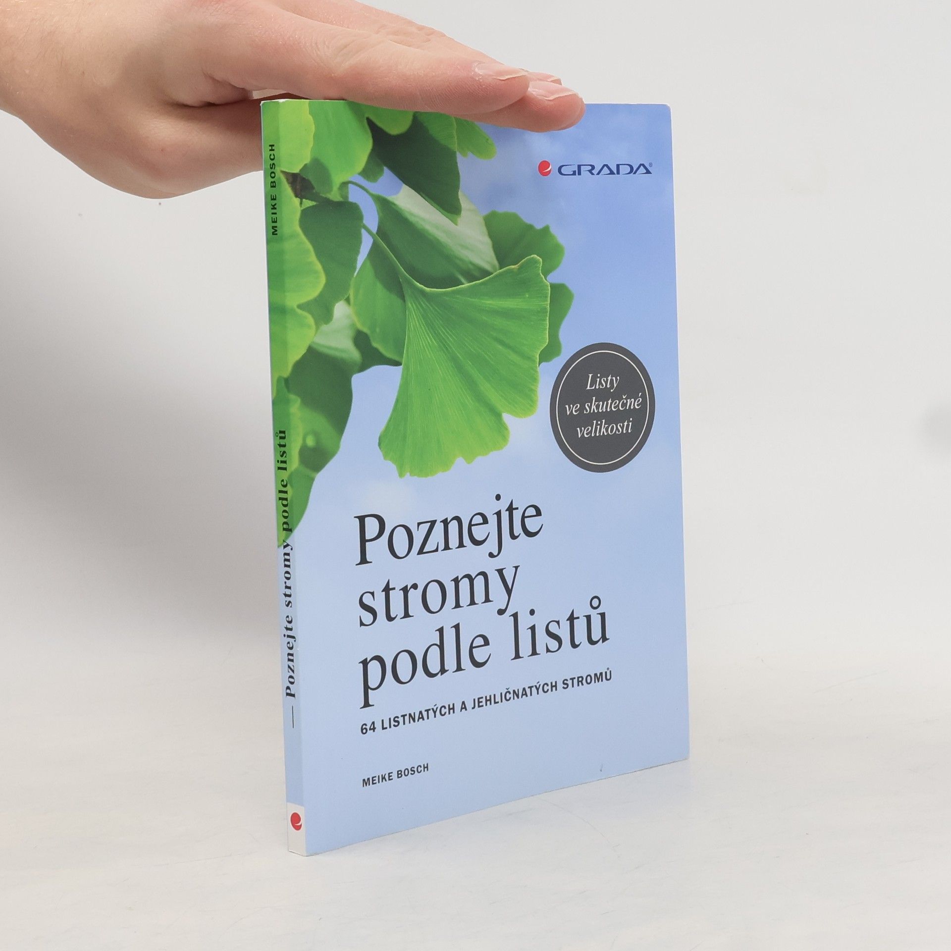 Meike Bosch Poznejte stromy podle listů