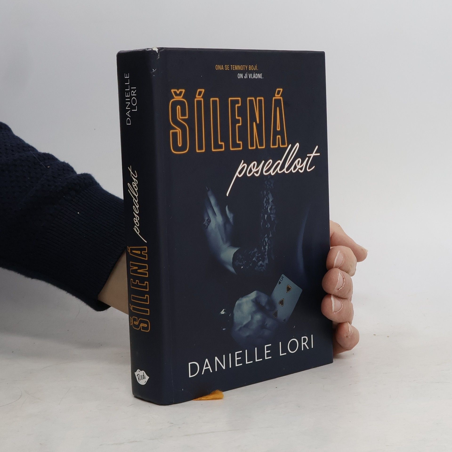 Danielle Lori Šílená posedlost