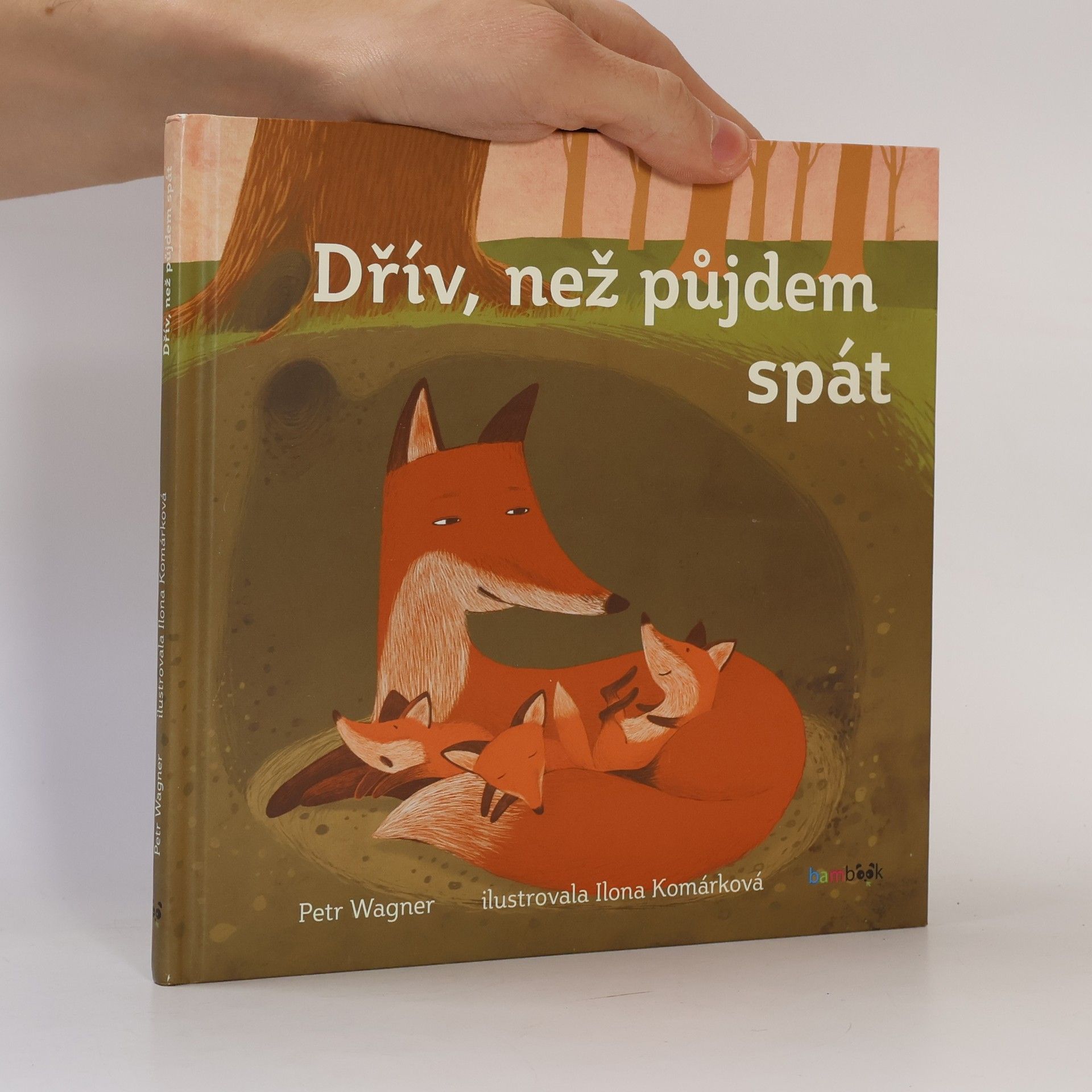 Dřív než půjdem spát