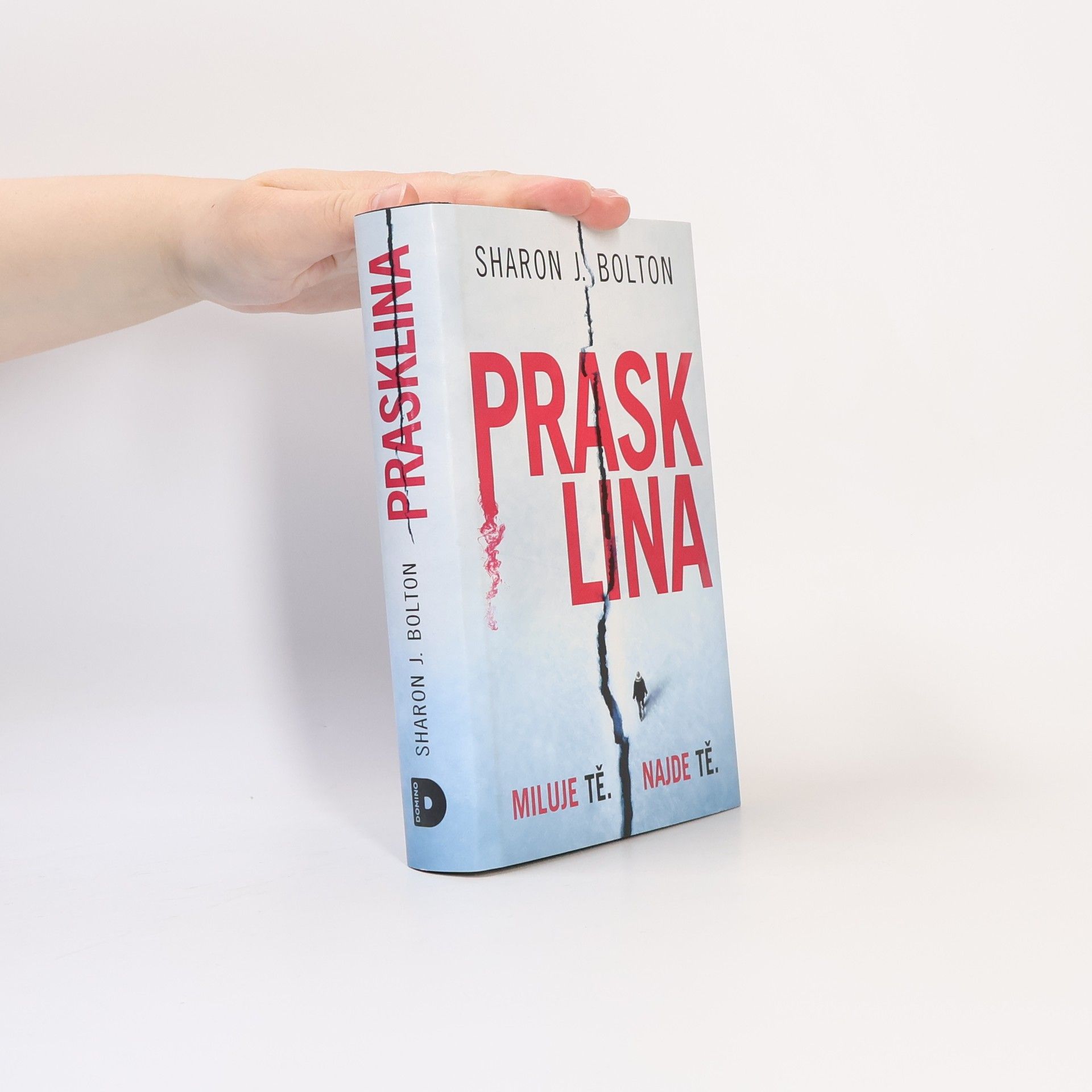 Sharon J. Bolton Prasklina