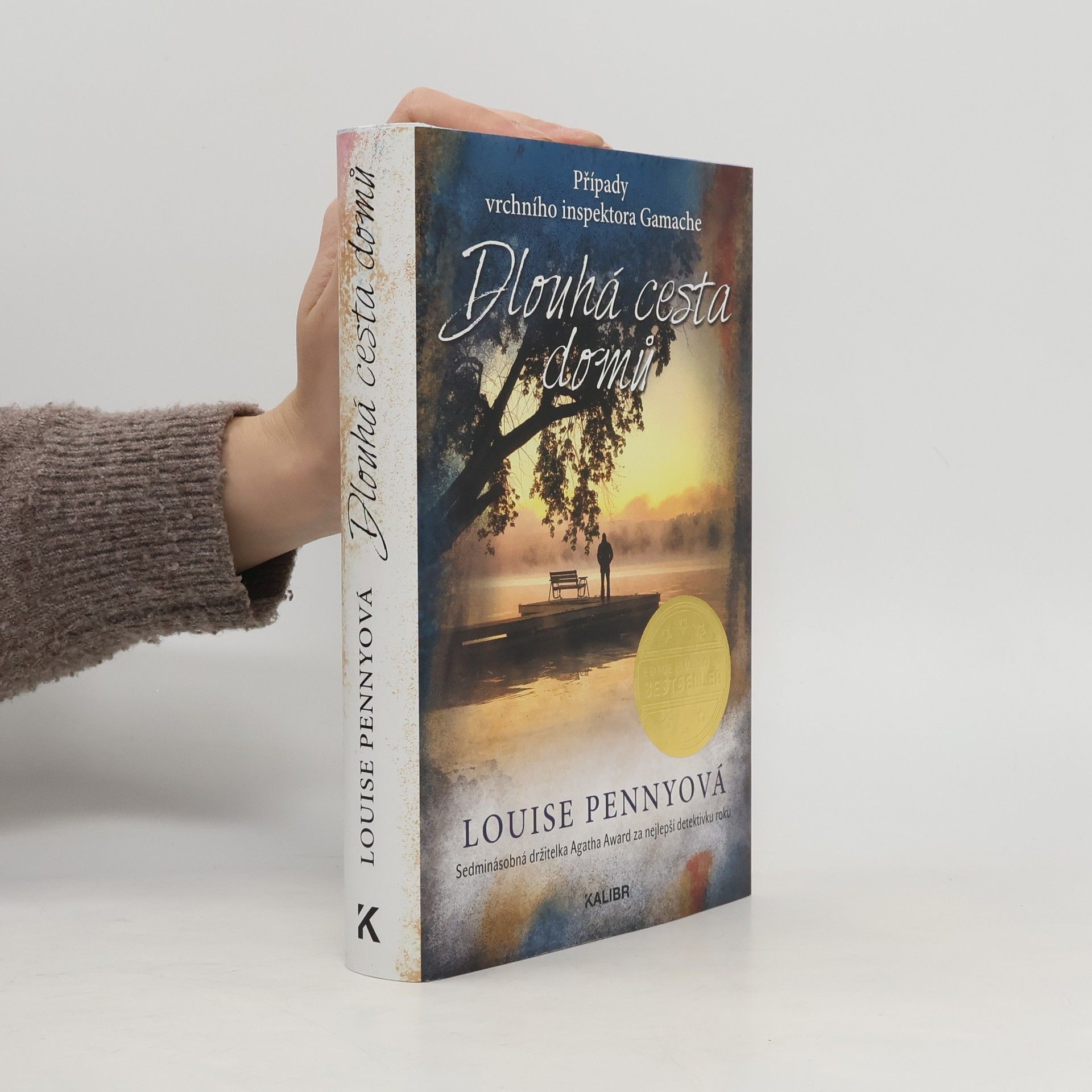 Louise Penny Dlouhá cesta domů