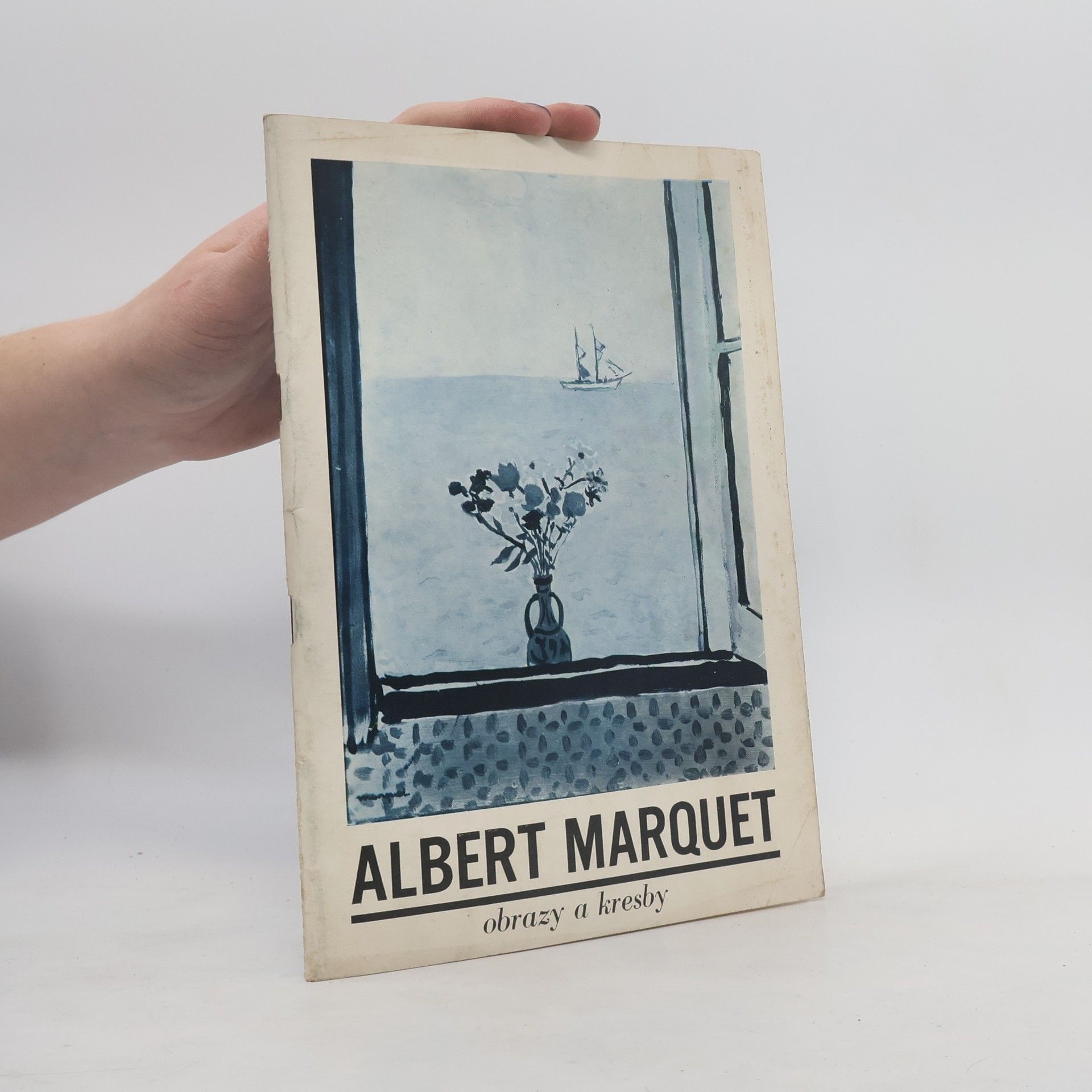 Kolektív autorov Albert Marquet: obrazy a kresby
