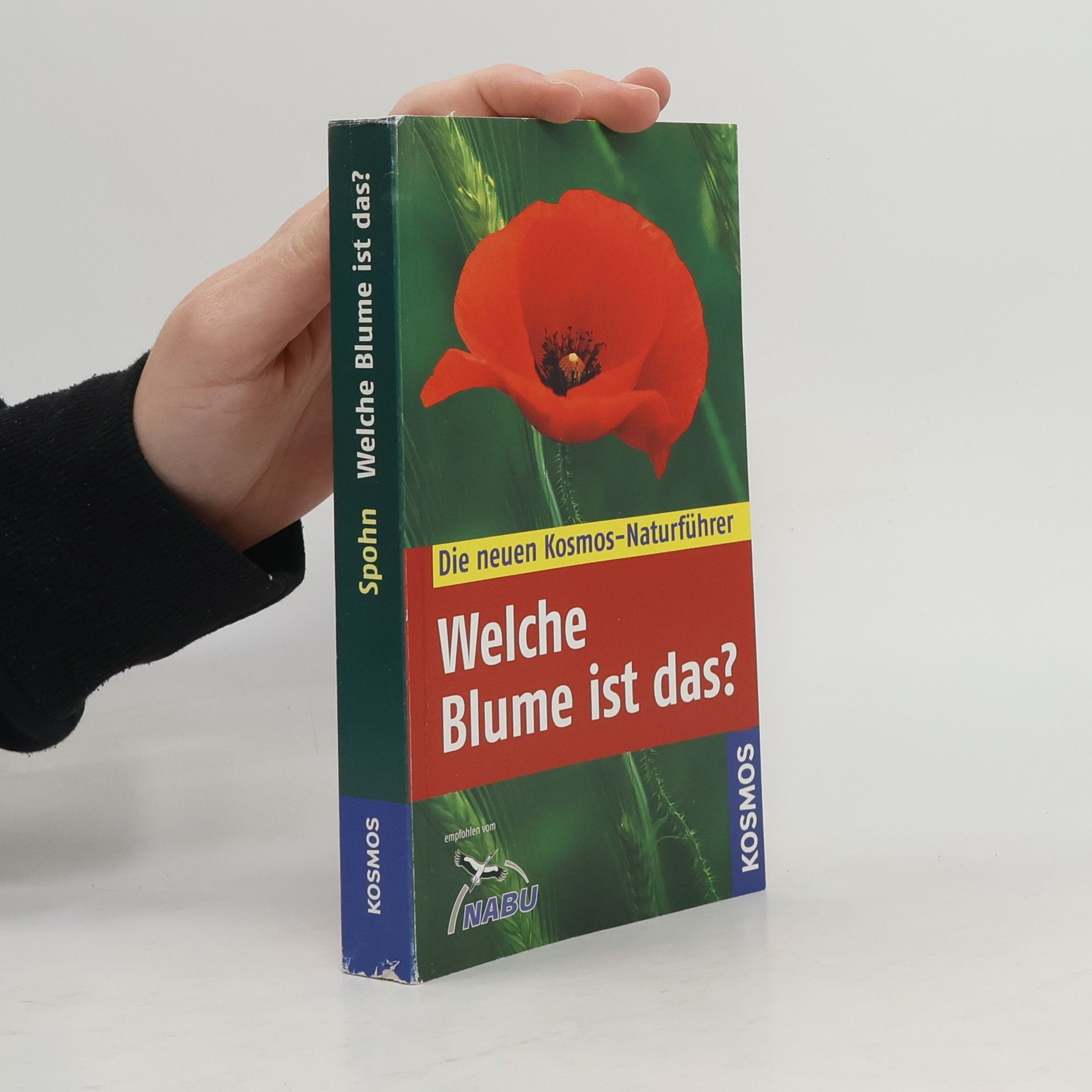 Welche Blume ist das?