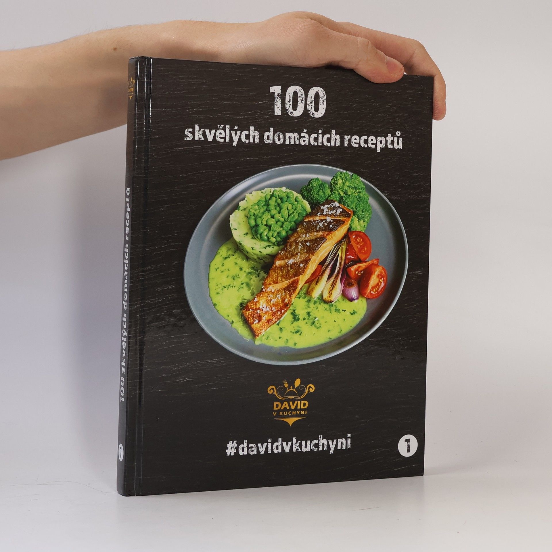 David Vonášek 100 skvělých domácích receptů