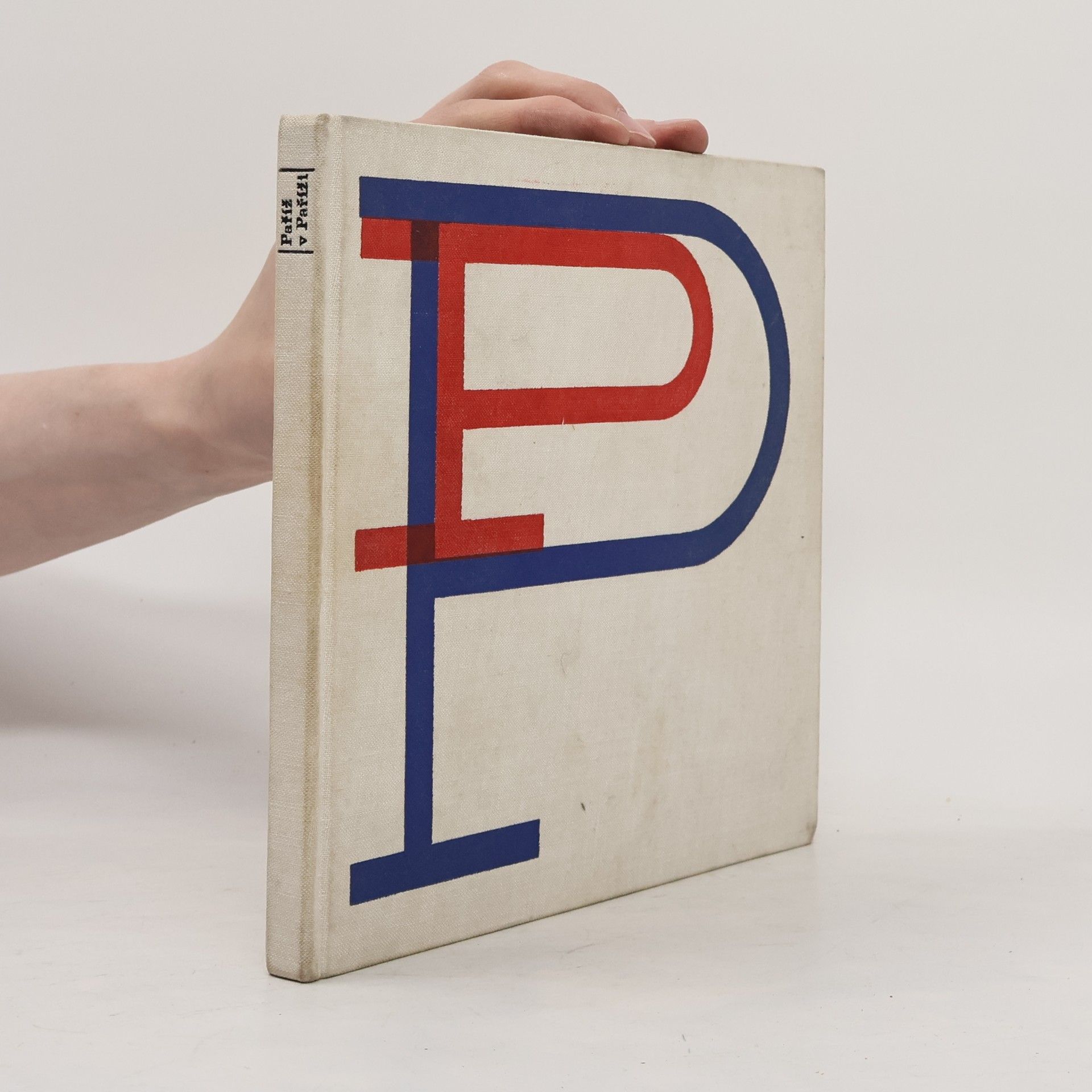 Paříž v Paříži