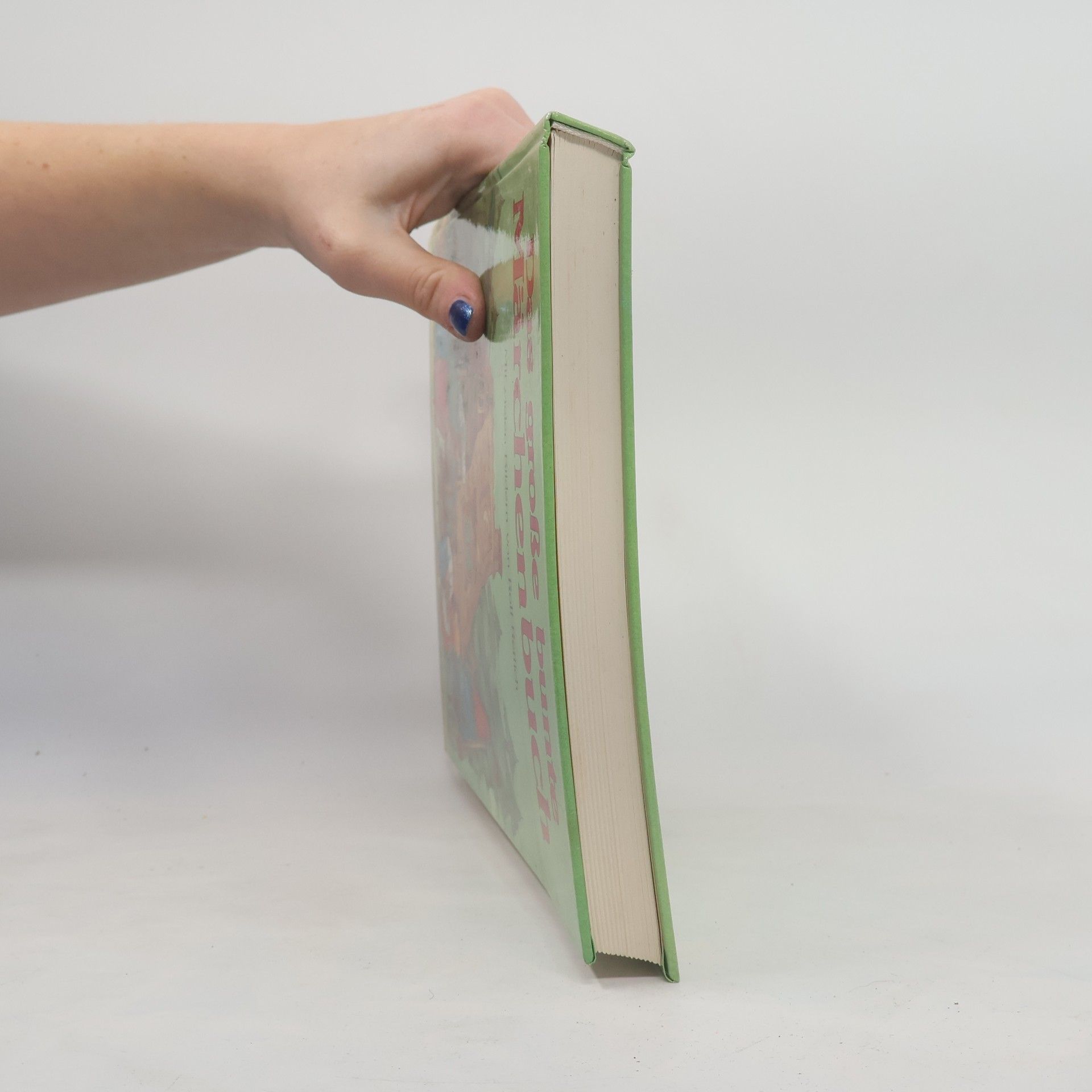 Kolektiv autorů Das große bunte Märchenbuch