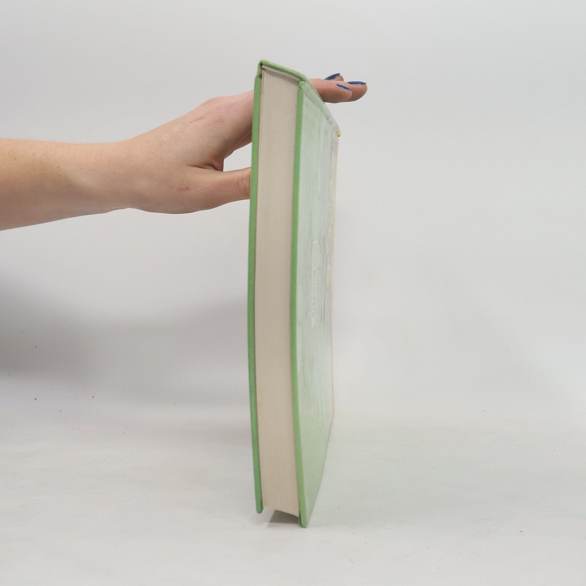 Kolektiv autorů Das große bunte Märchenbuch