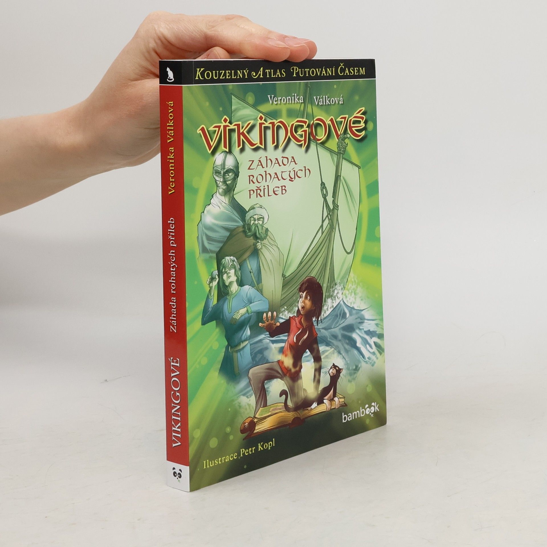 Vikingové : záhada rohatých přileb