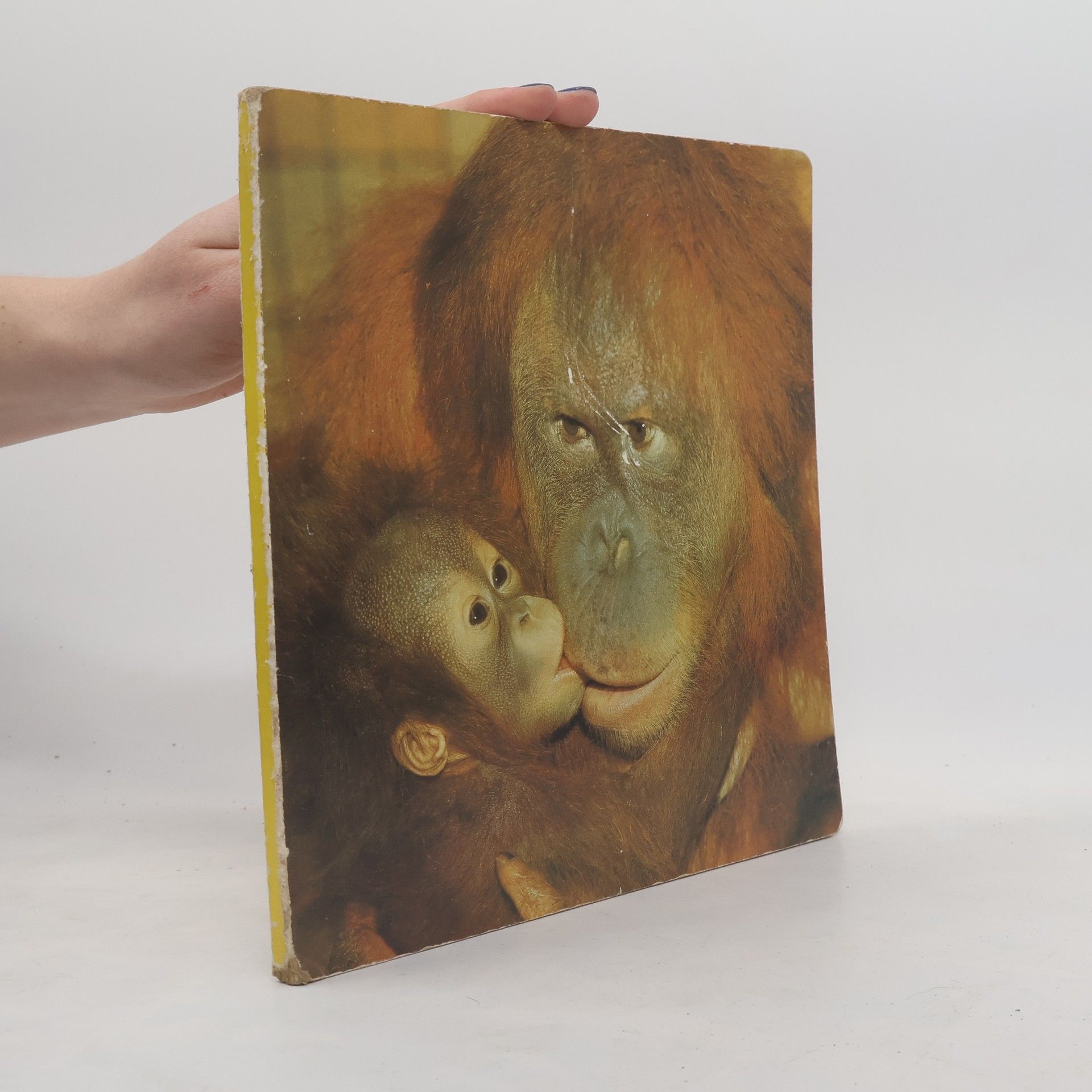 Hans-Werner Schuldei Schuldei Fotobilderbuch 3