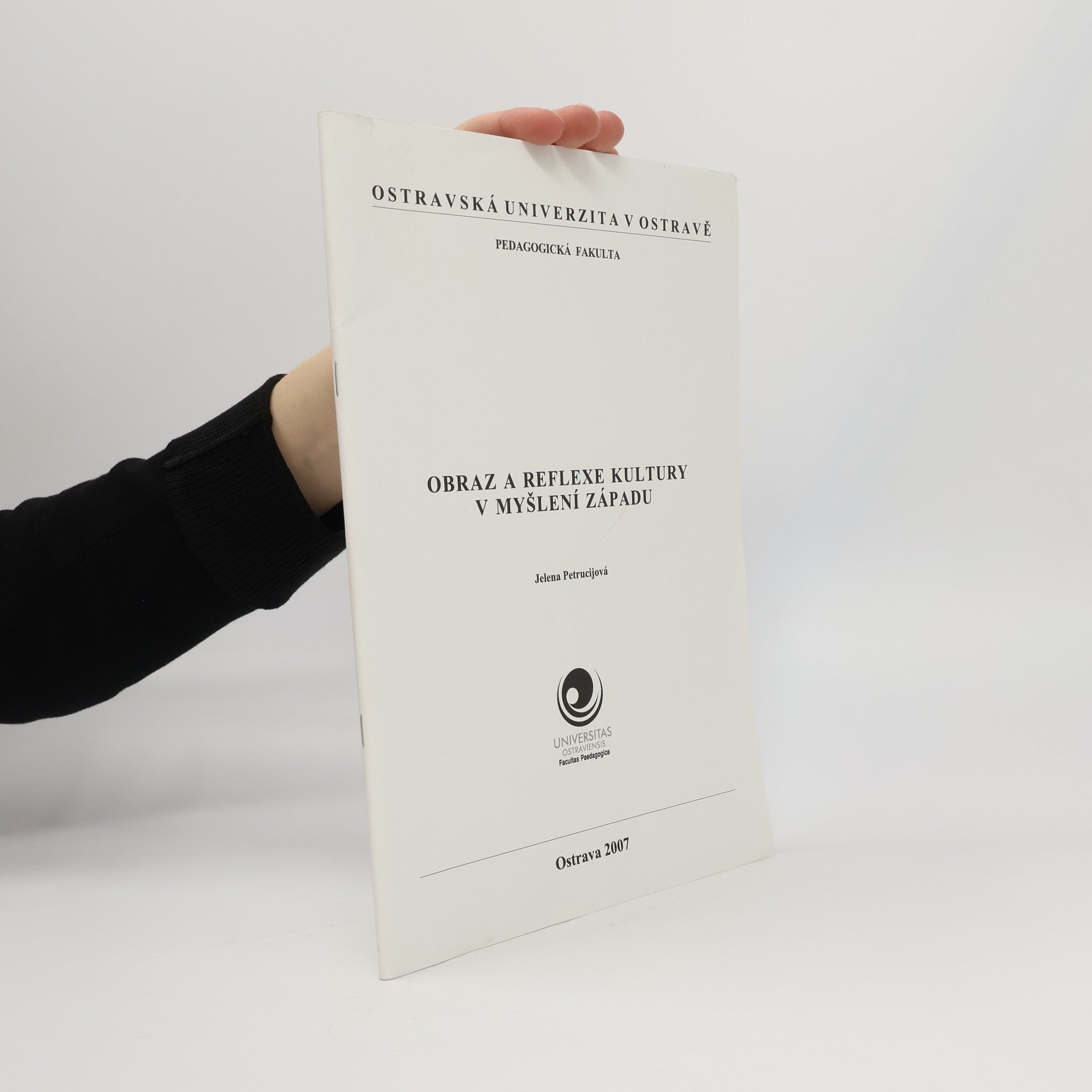 Obraz a reflexe kultury v myšlení Západu