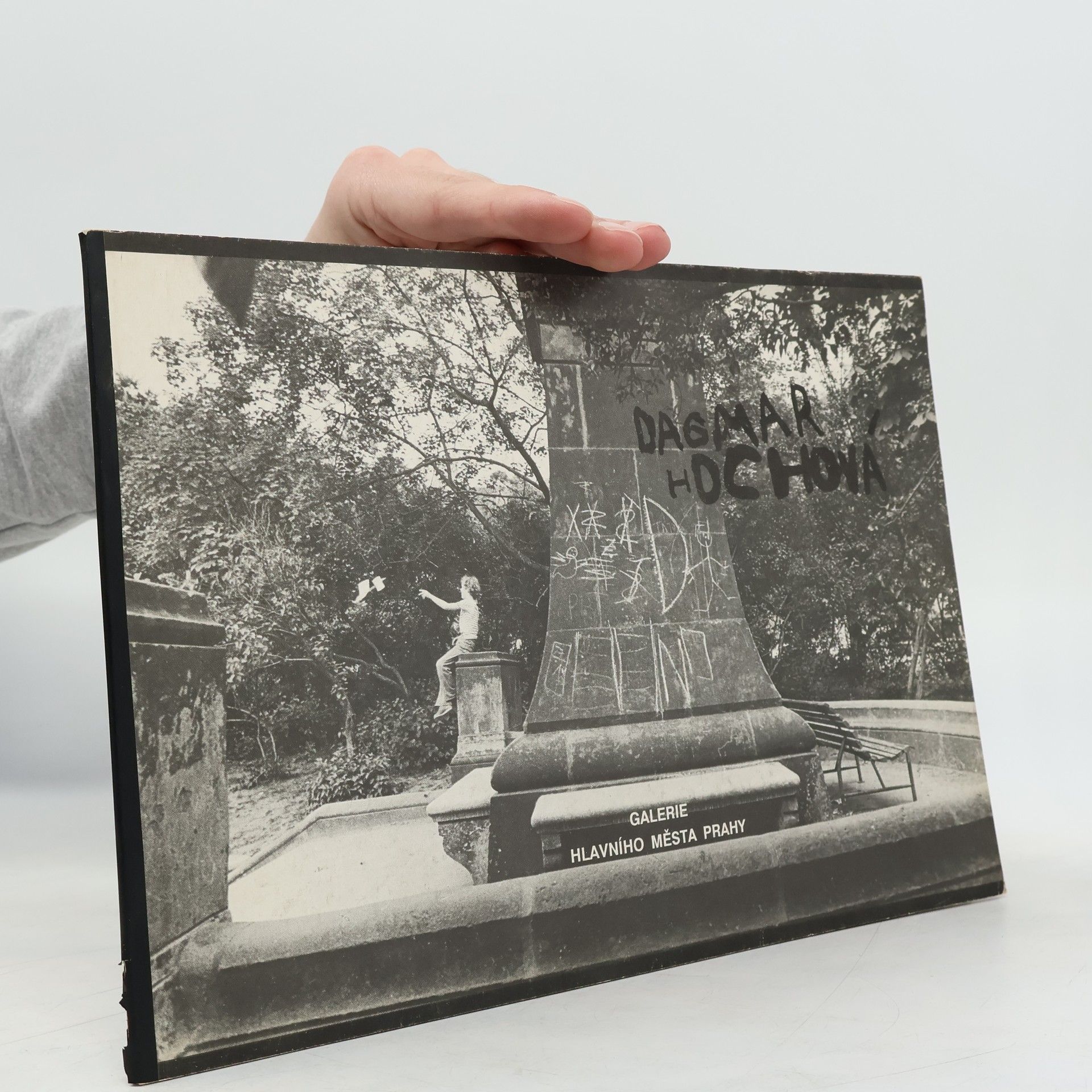 Various authors Dagmar Hochová