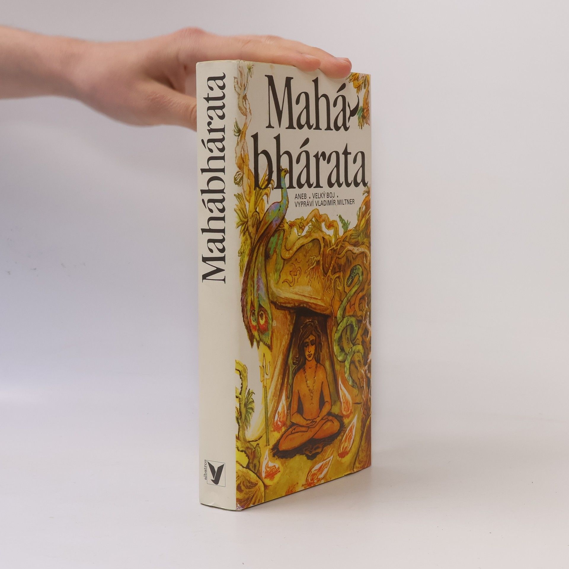 Vladimír Miltner Mahábhárata aneb Velký boj