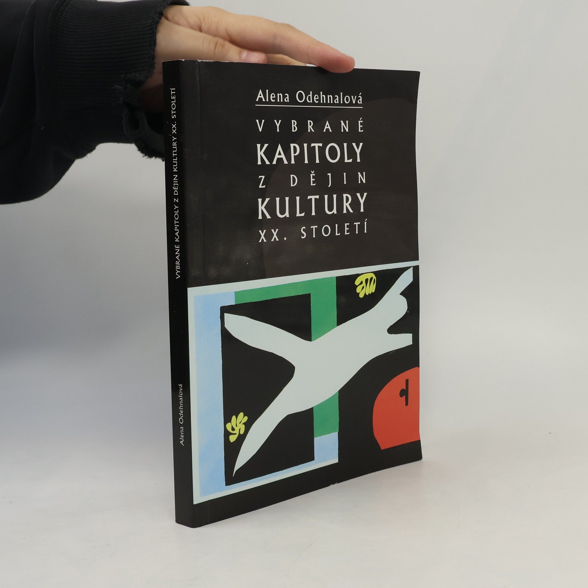 Alena Odehnalová Vybrané kapitoly z dějin kultury XX. století