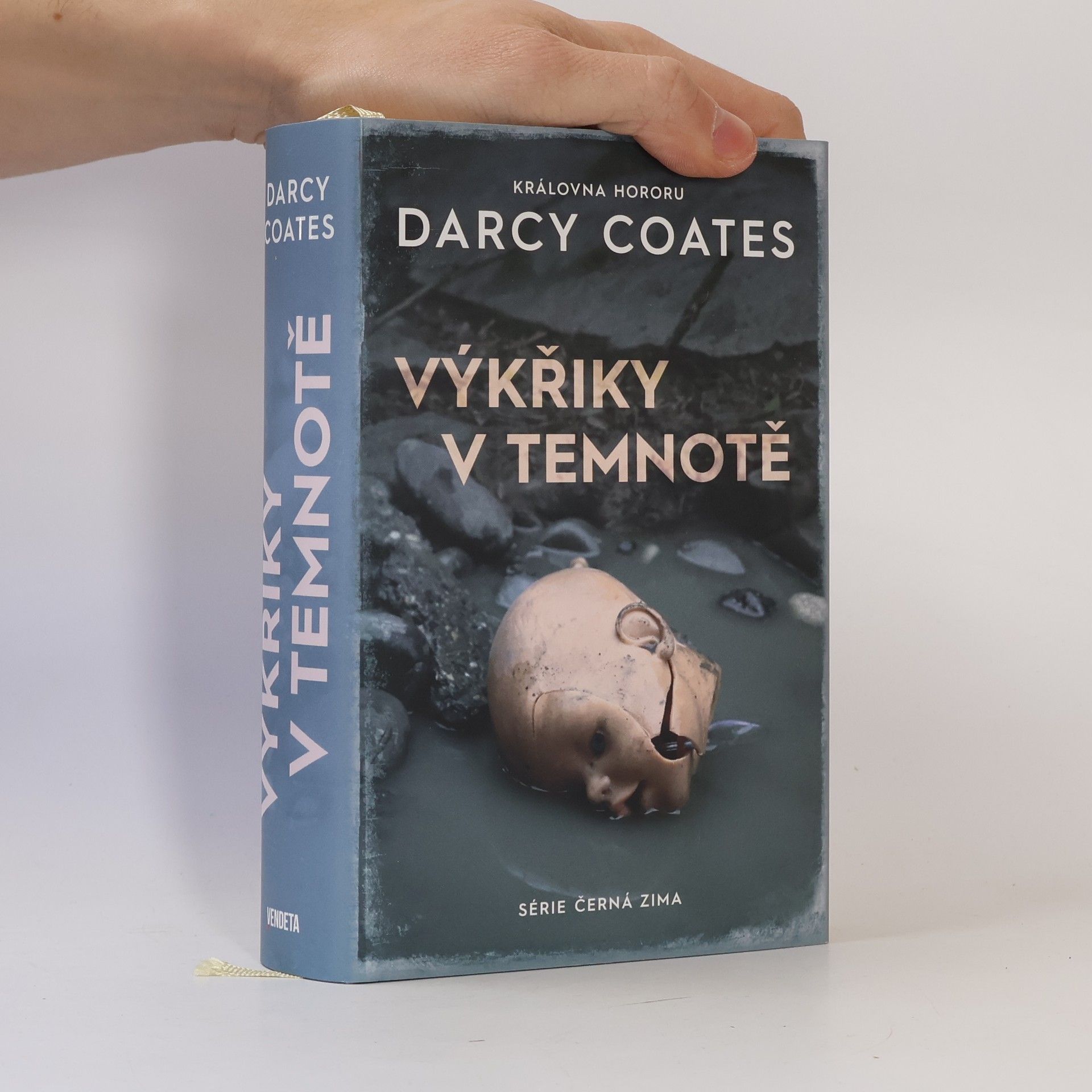 Darcy Coates Výkřiky v temnotě