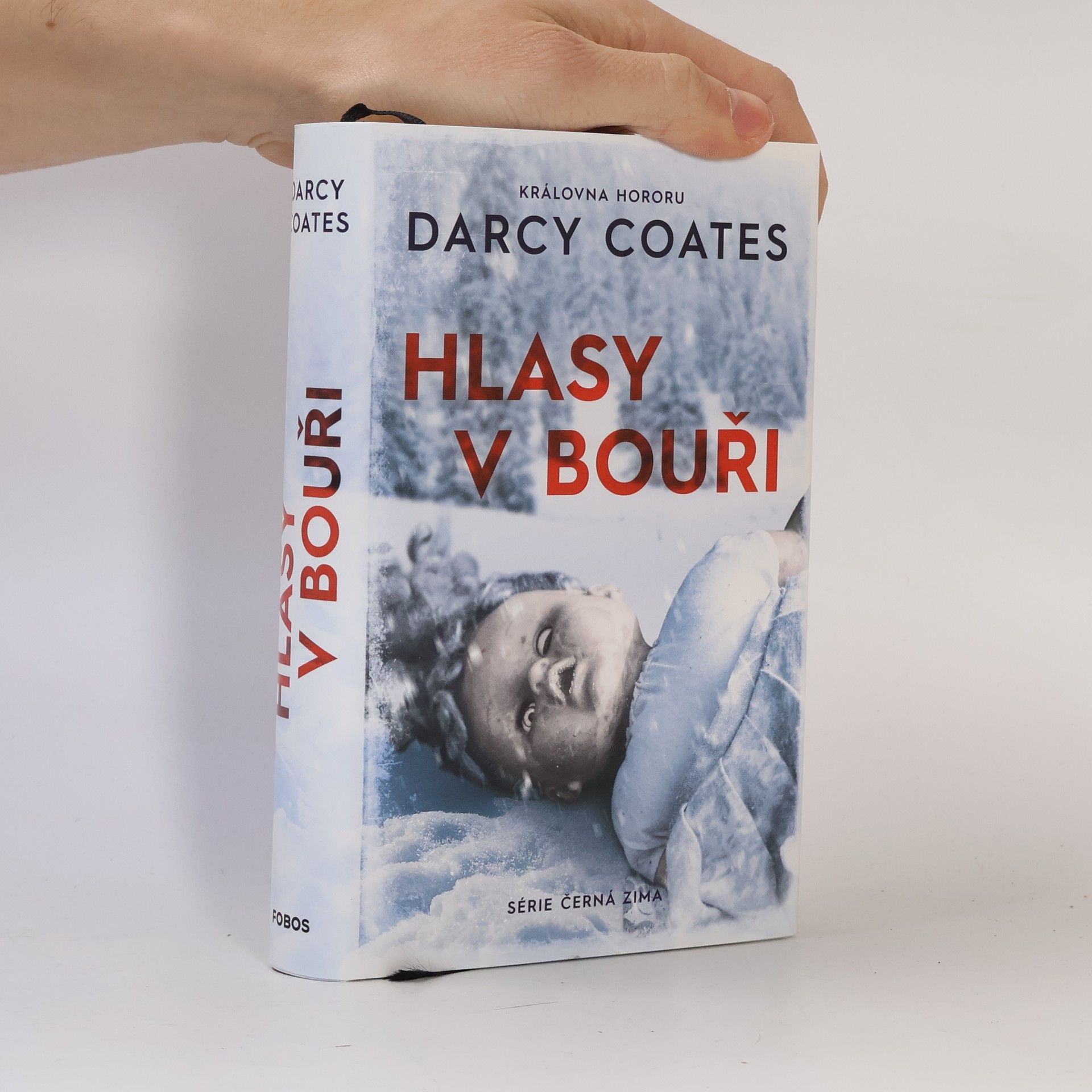 Darcy Coates Hlasy v bouři