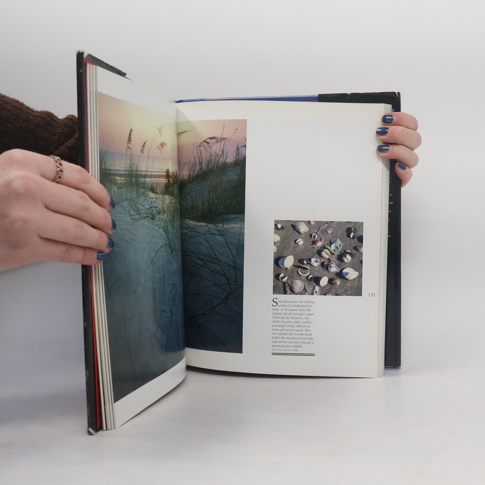 Collectif d'auteurs Discover America! A Scenic Tour of the Fifty States