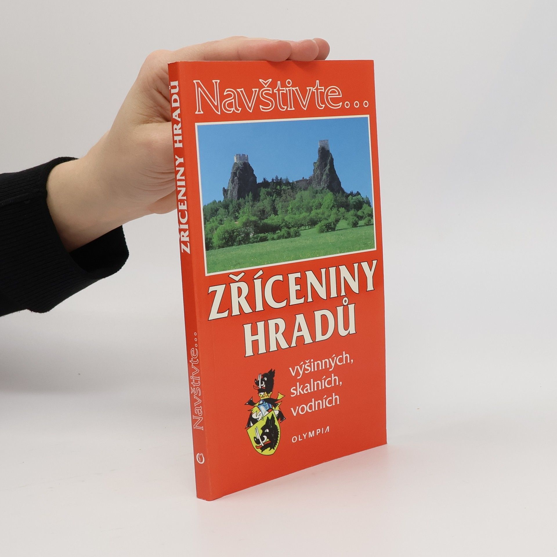 Various authors Zříceniny hradů výšinných, skalních, vodních