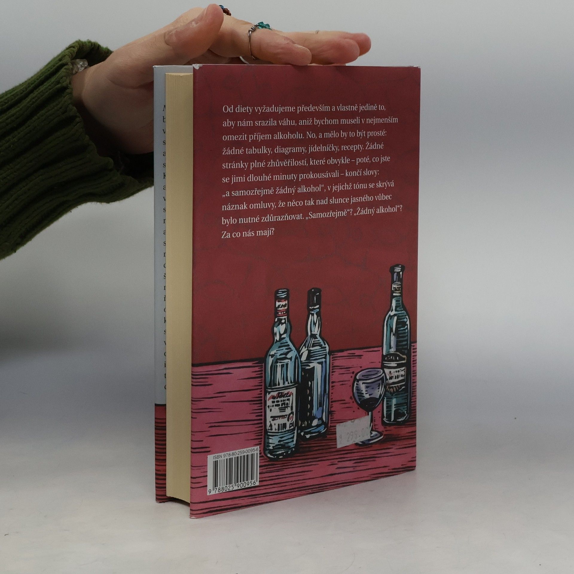 Kingsley Amis Manuál každodenního pijáka
