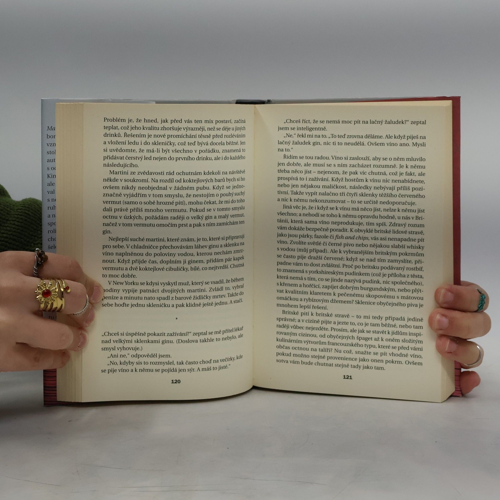 Kingsley Amis Manuál každodenního pijáka