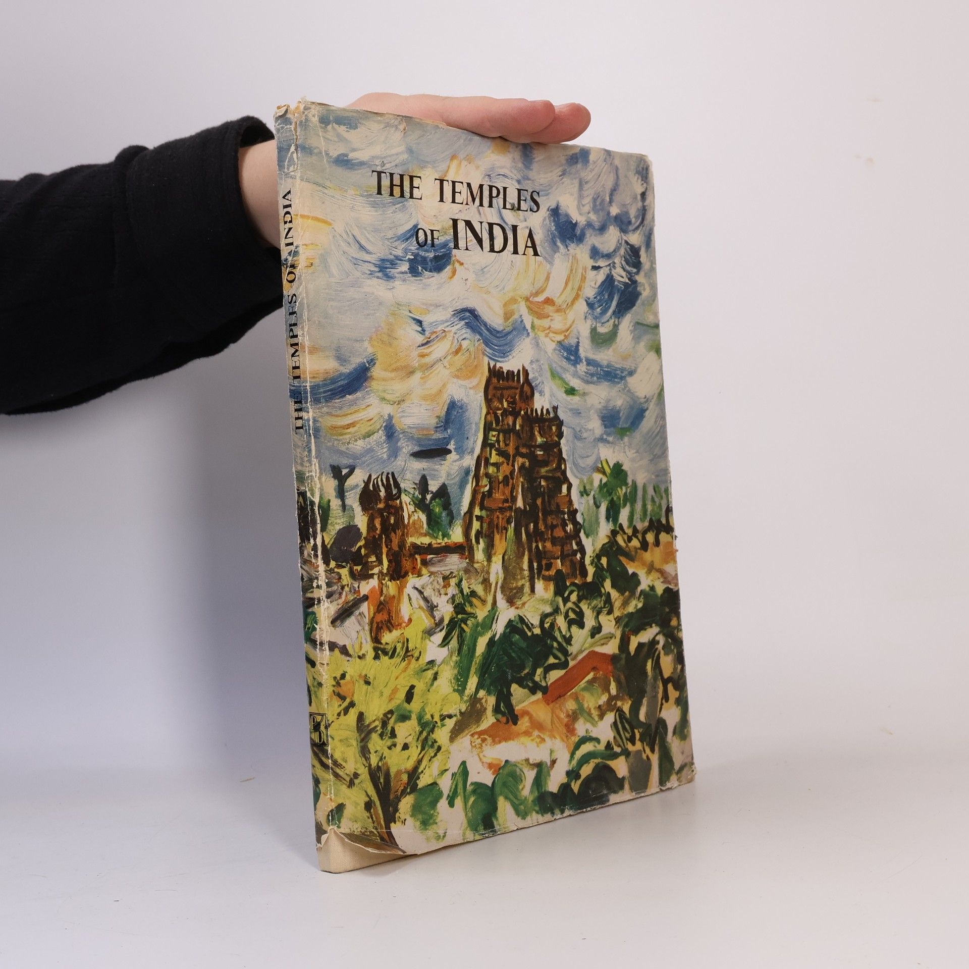 Kolektiv autorů The Temples of India