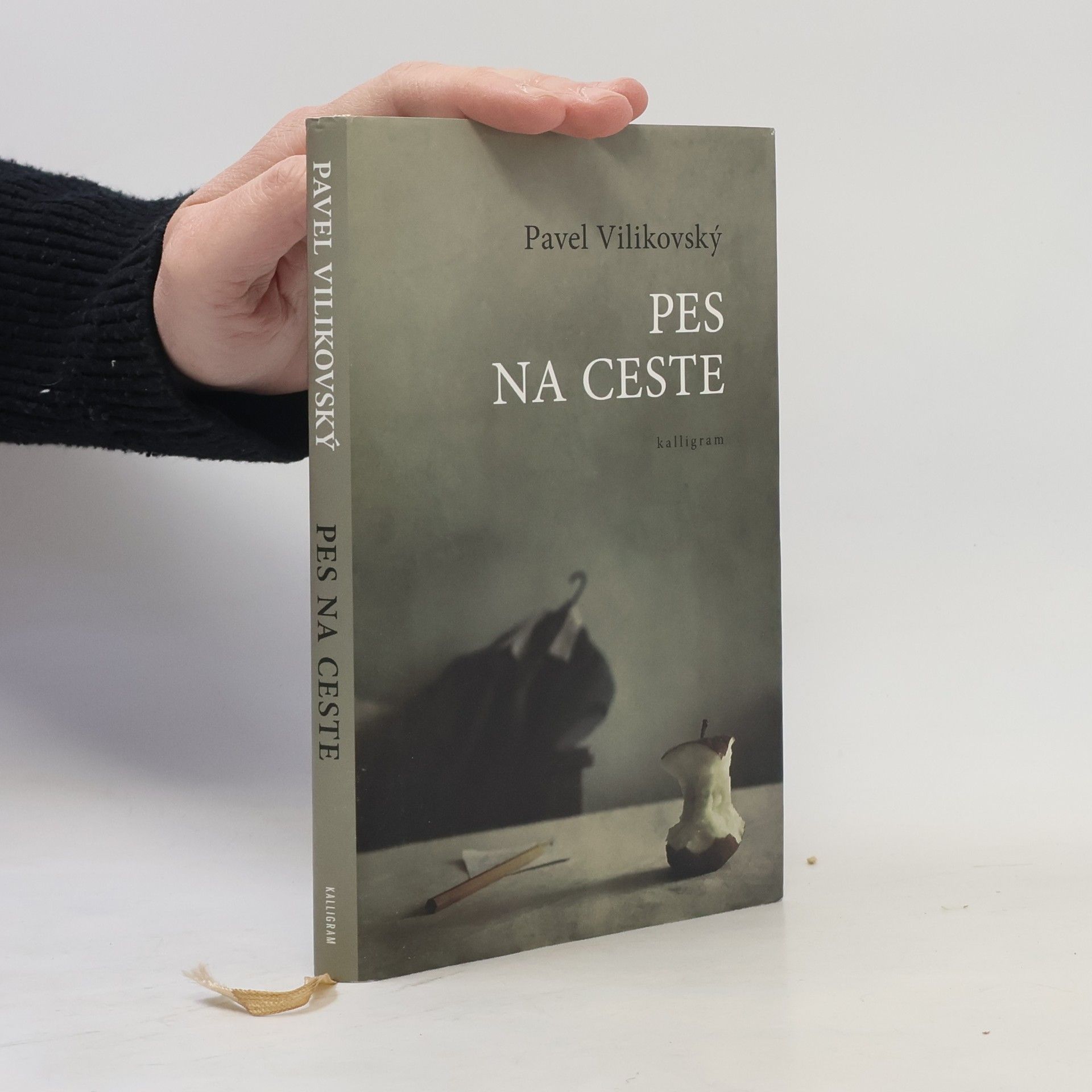 Pavel Vilikovský Pes na ceste