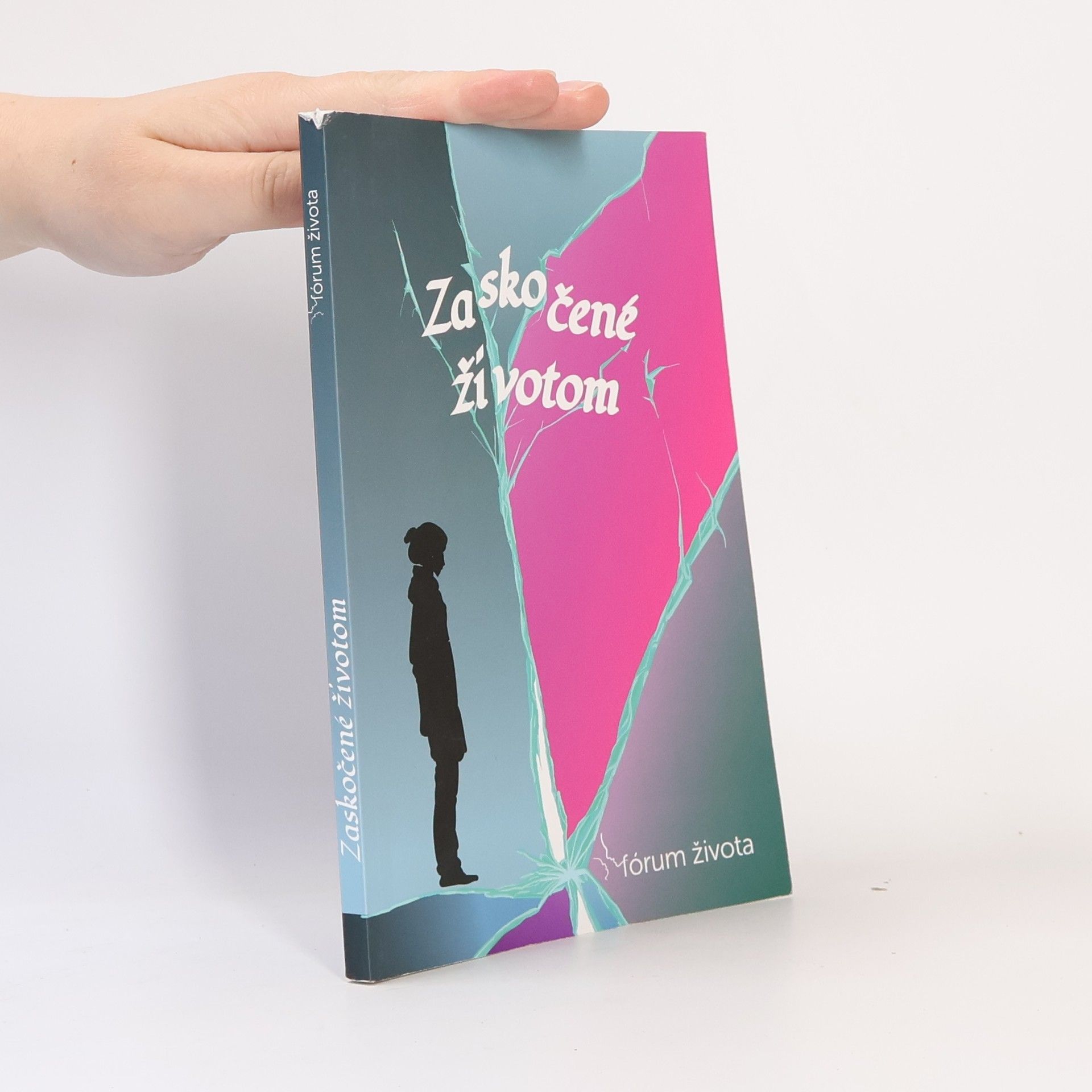 Autorenkollektiv Zaskočené životom